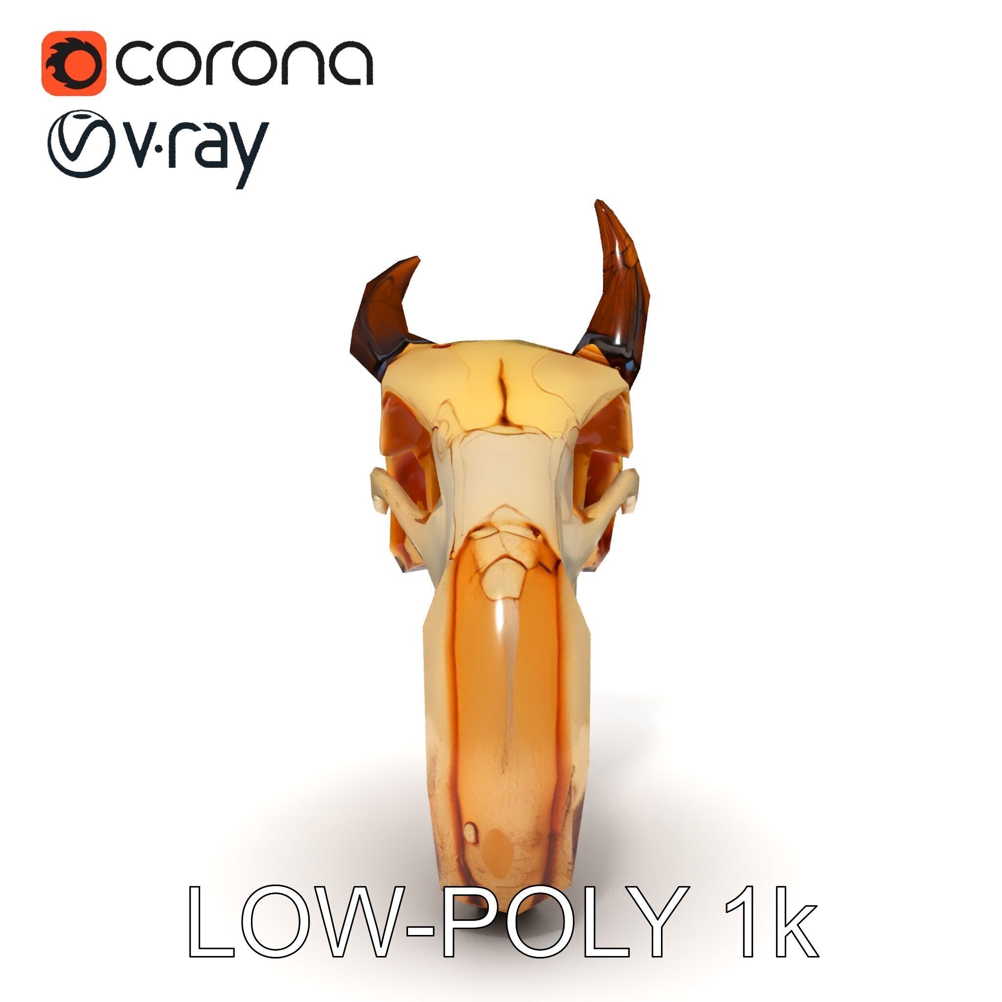 Animal Skull Model Pack Low-poly 3D model_17