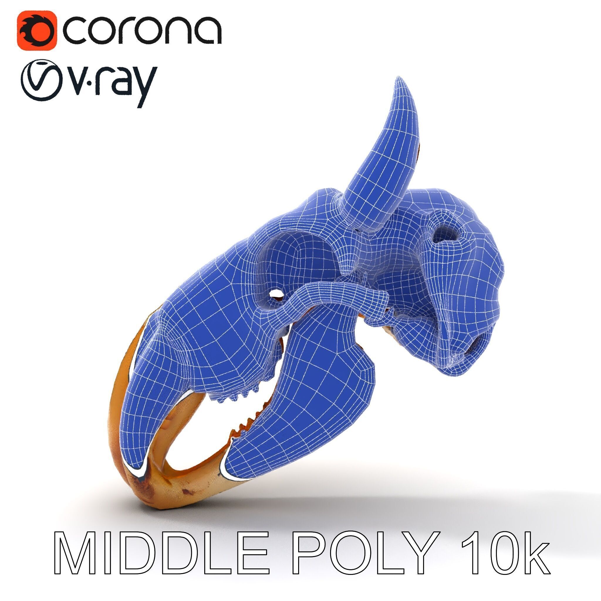 Animal Skull Model Pack Low-poly 3D model_28