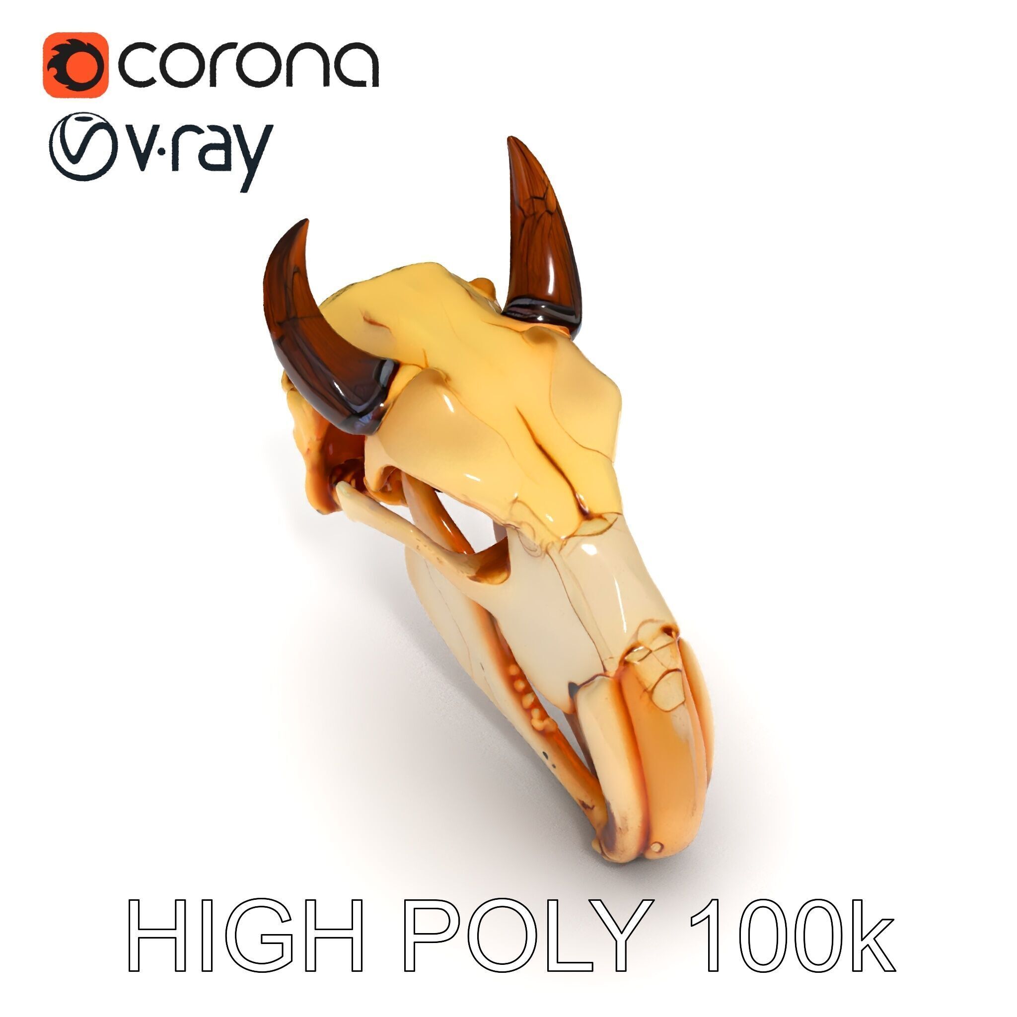 Animal Skull Model Pack Low-poly 3D model_32