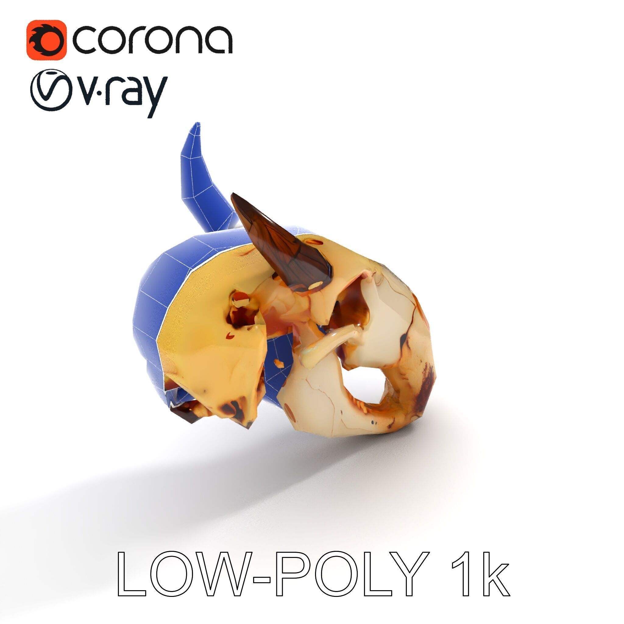 Animal Skull Model Pack Low-poly 3D model_34