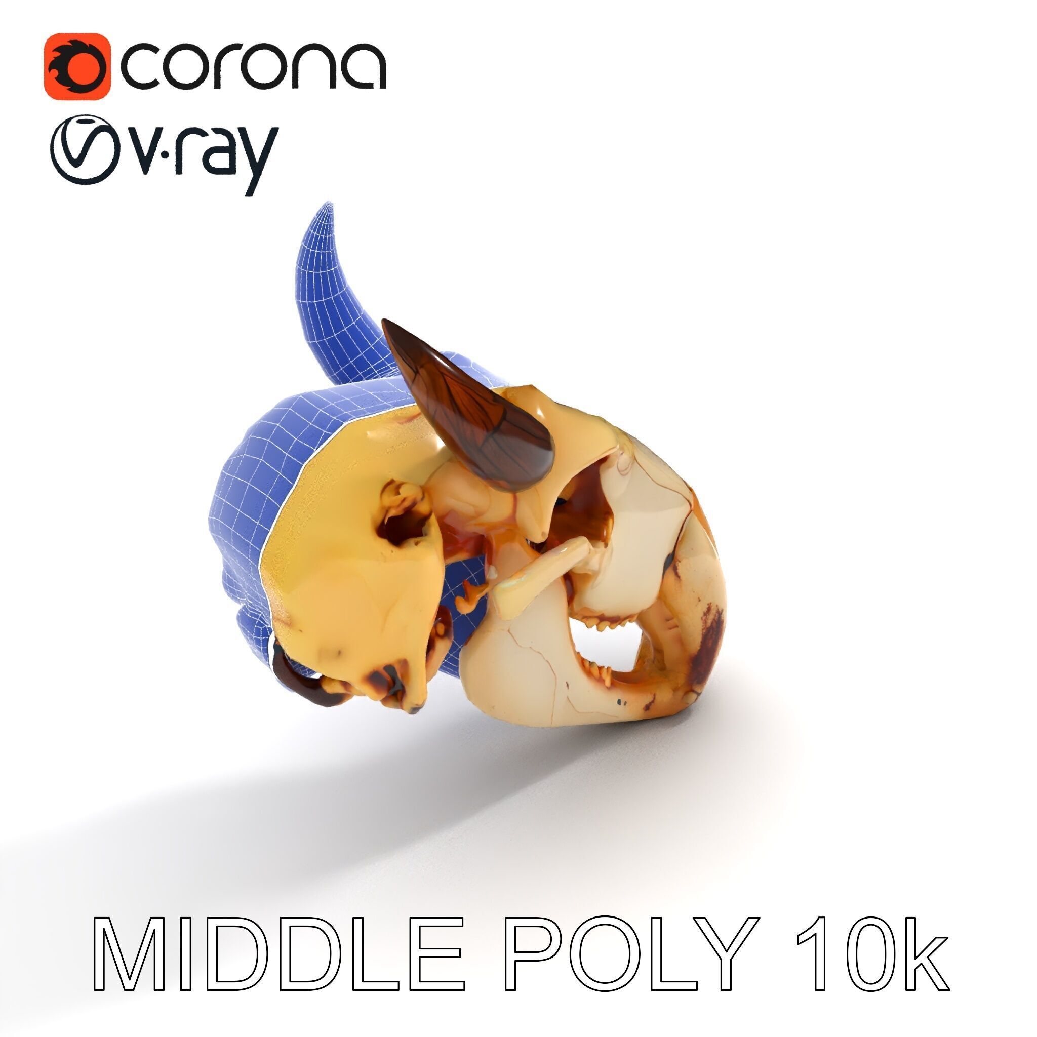 Animal Skull Model Pack Low-poly 3D model_22
