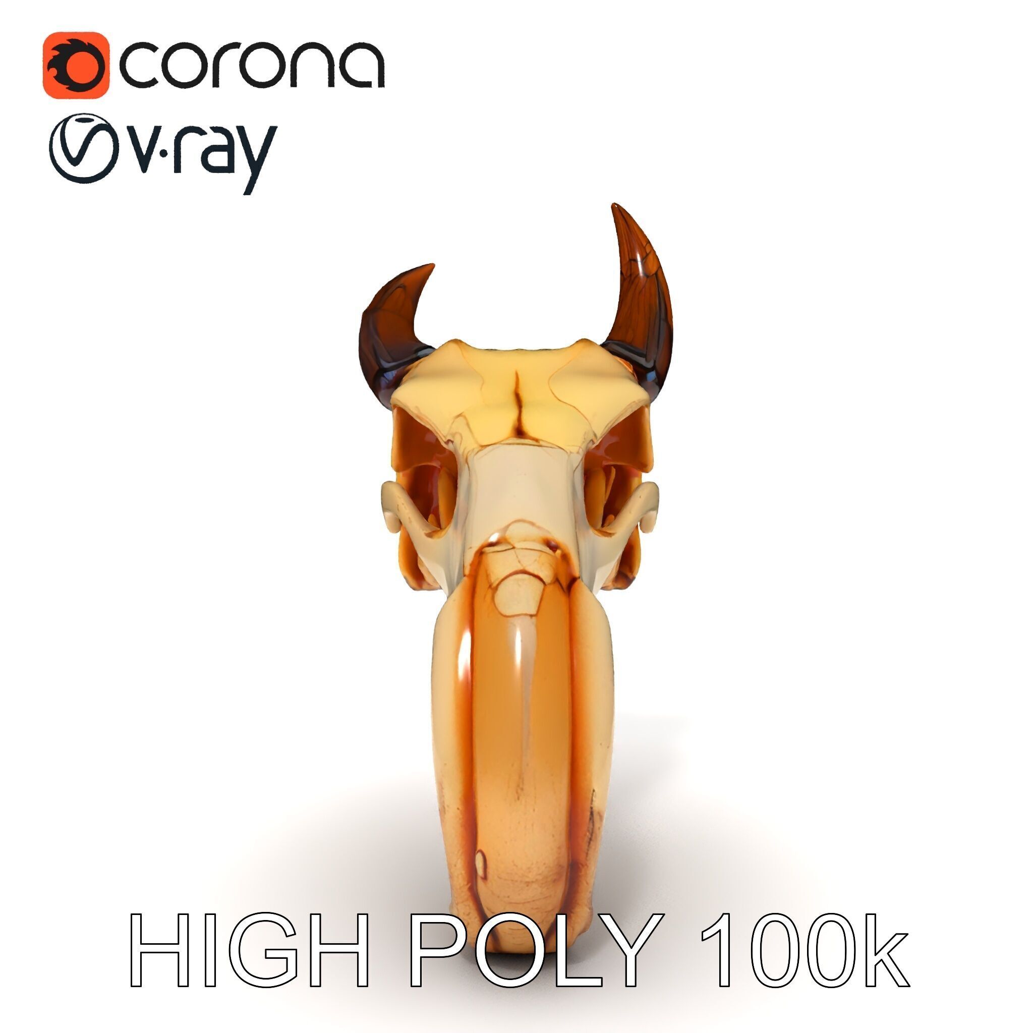 Animal Skull Model Pack Low-poly 3D model_15