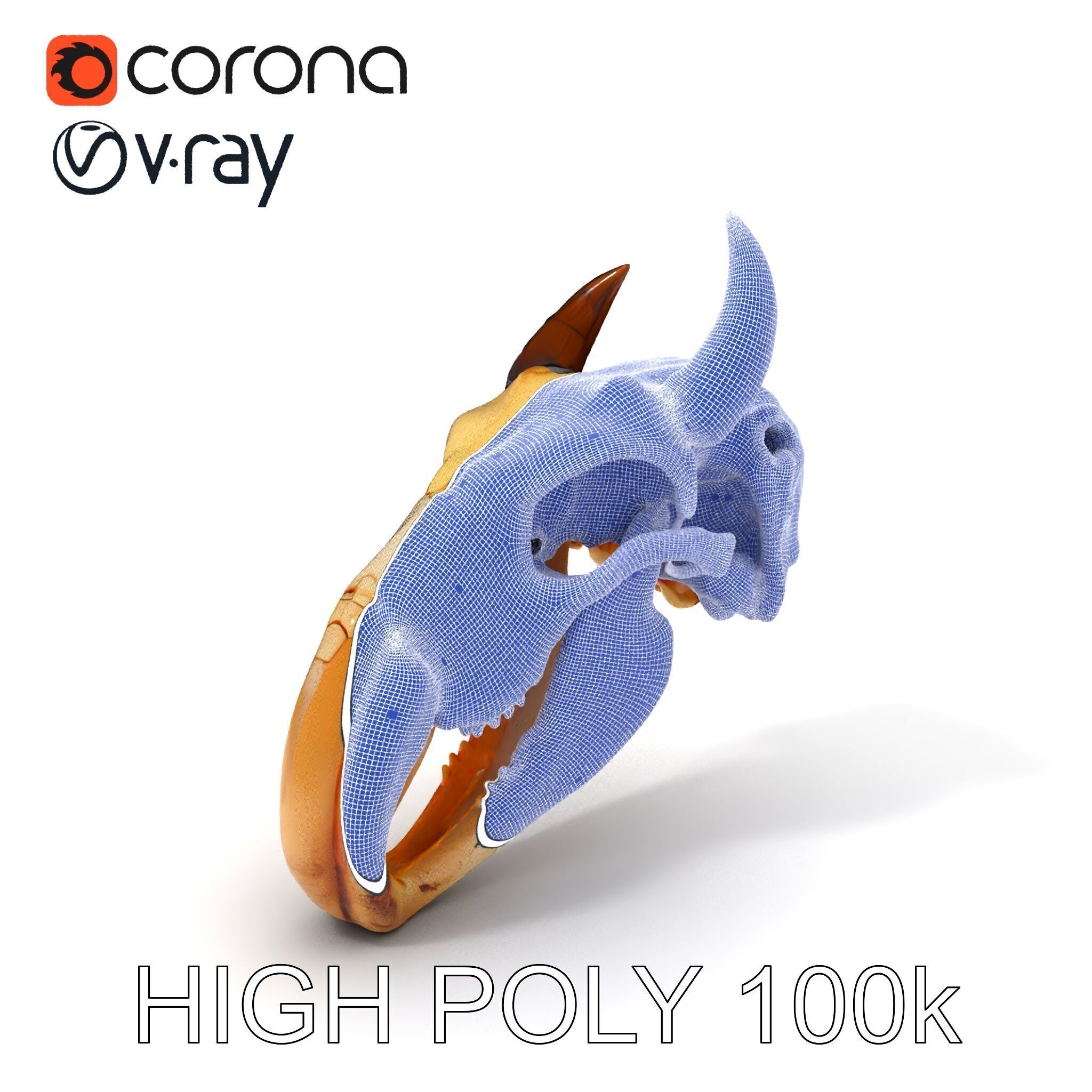 Animal Skull Model Pack Low-poly 3D model_4