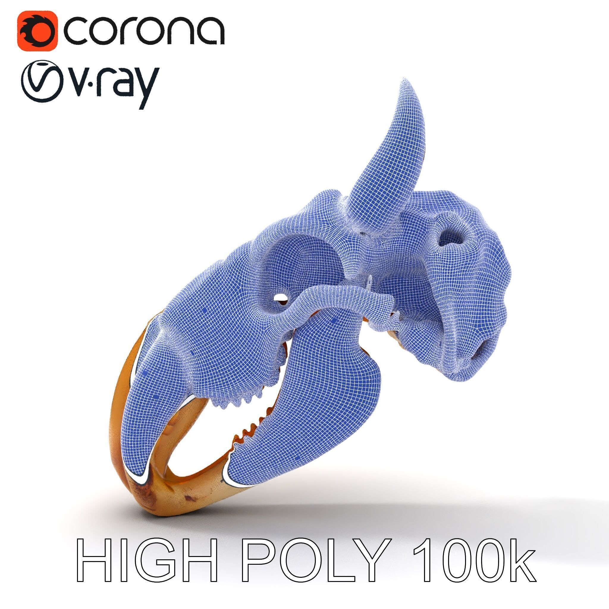 Animal Skull Model Pack Low-poly 3D model_24