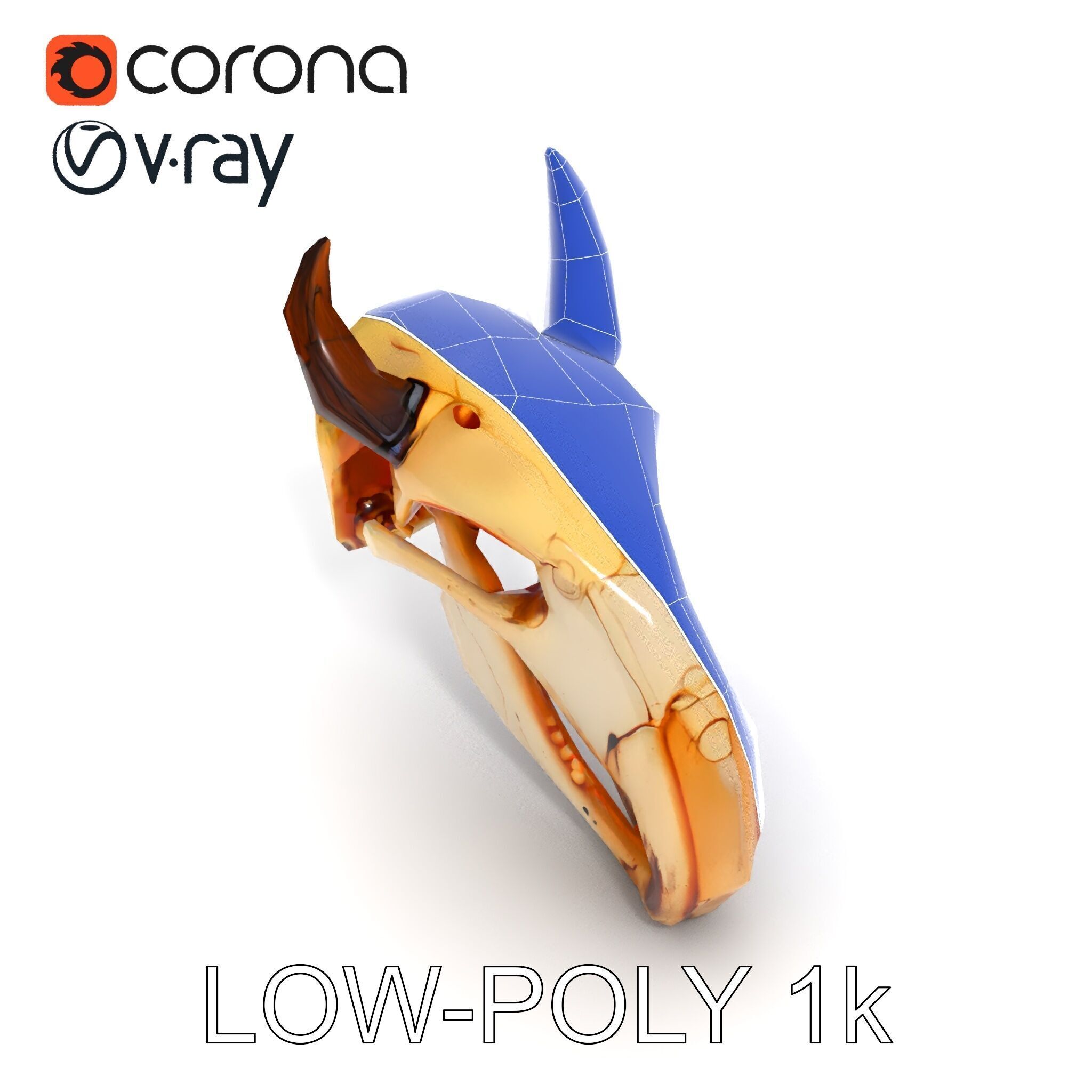 Animal Skull Model Pack Low-poly 3D model_12