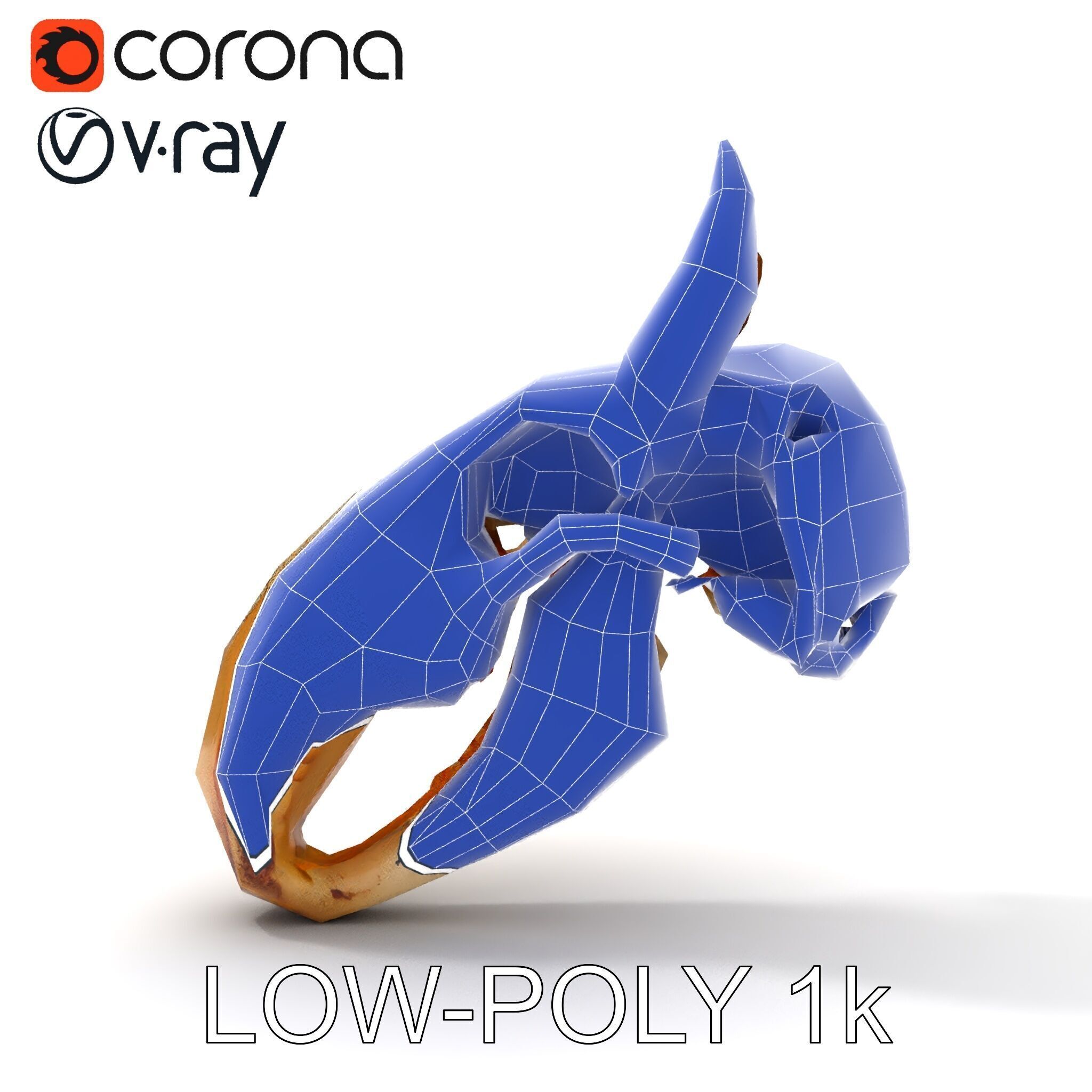 Animal Skull Model Pack Low-poly 3D model_14