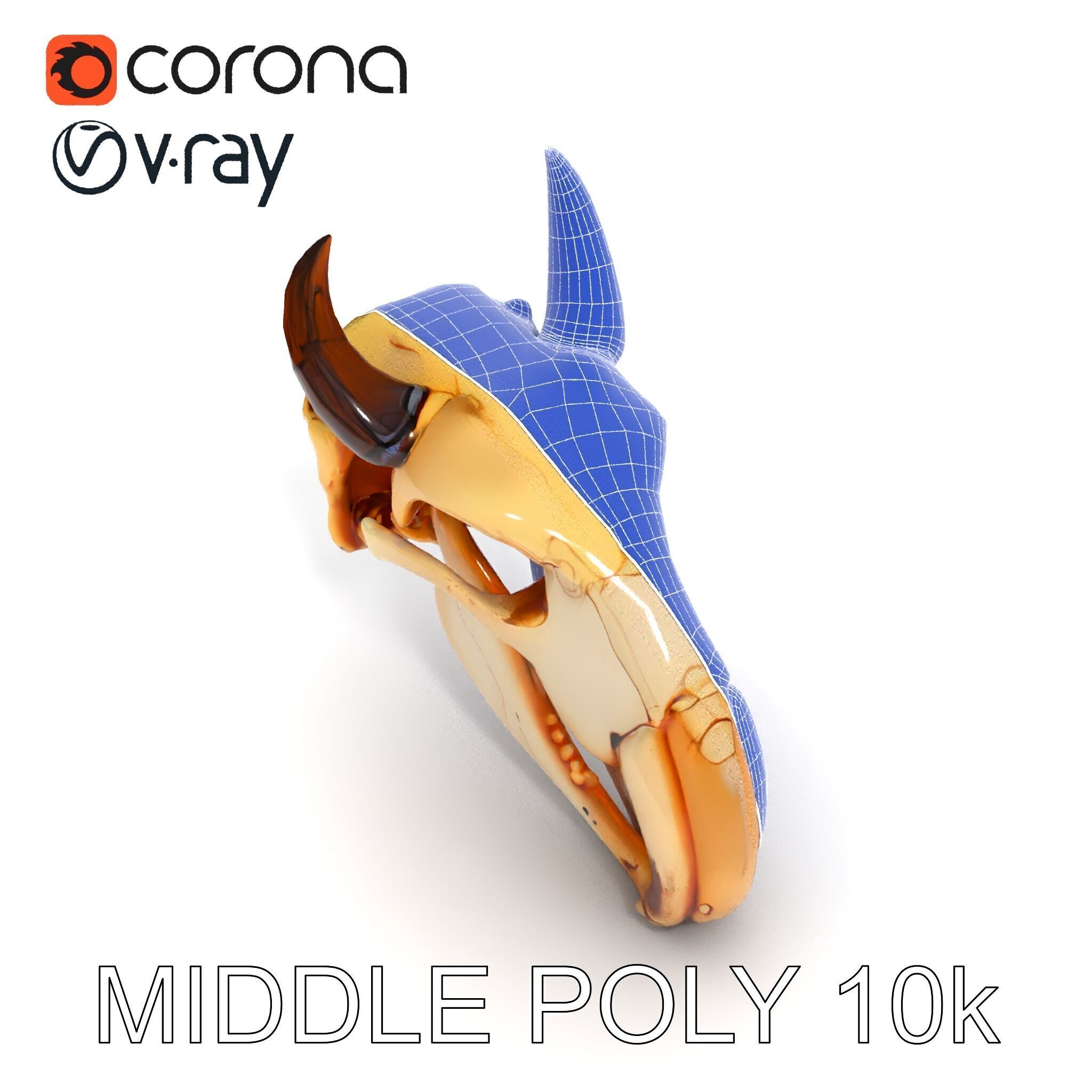 Animal Skull Model Pack Low-poly 3D model_19