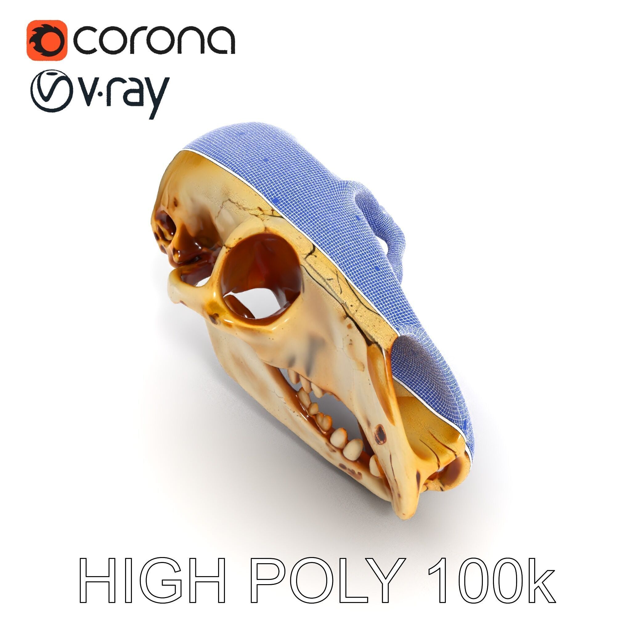 Realistic Animal Skull D Model Pack Low-poly 3D model_34