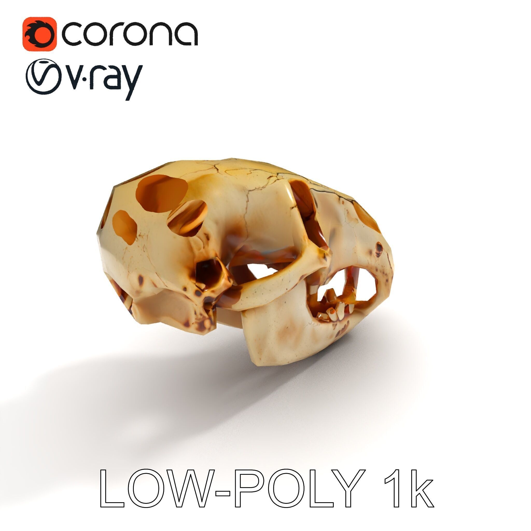 Realistic Animal Skull D Model Pack Low-poly 3D model_25