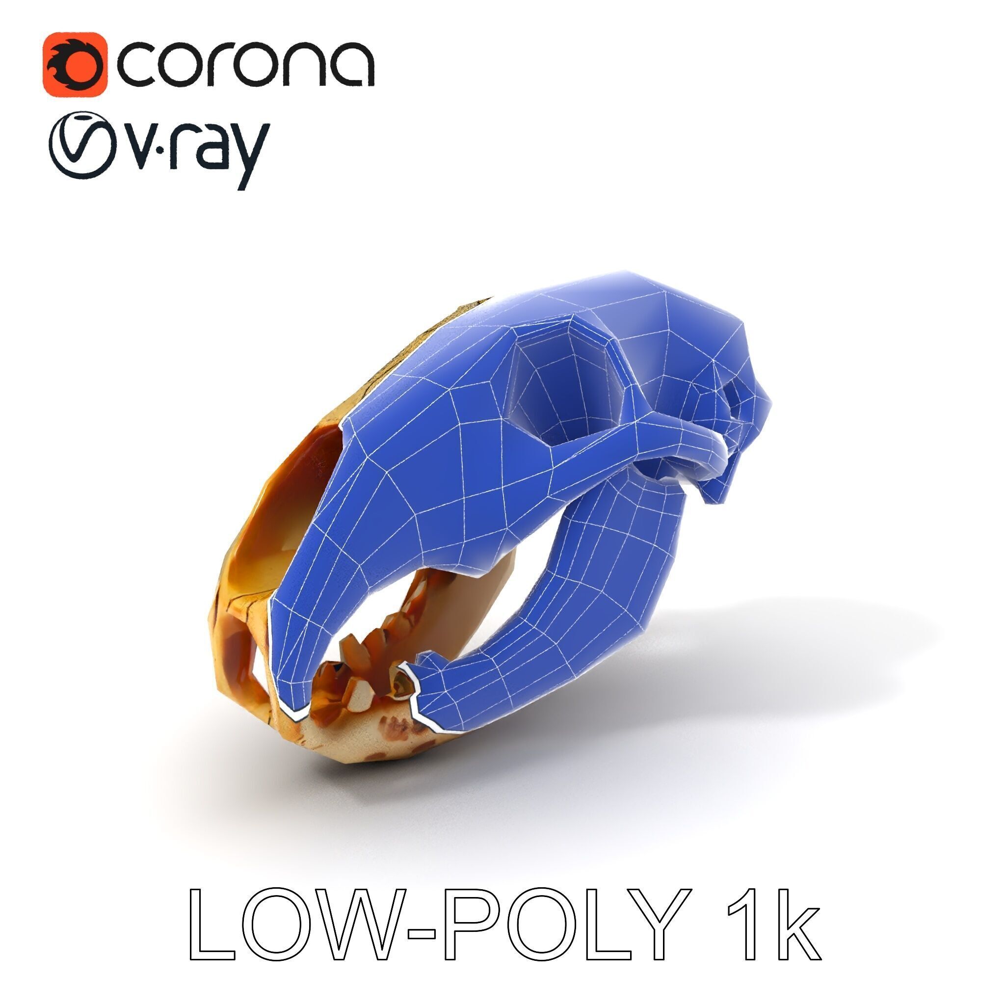 Realistic Animal Skull D Model Pack Low-poly 3D model_28