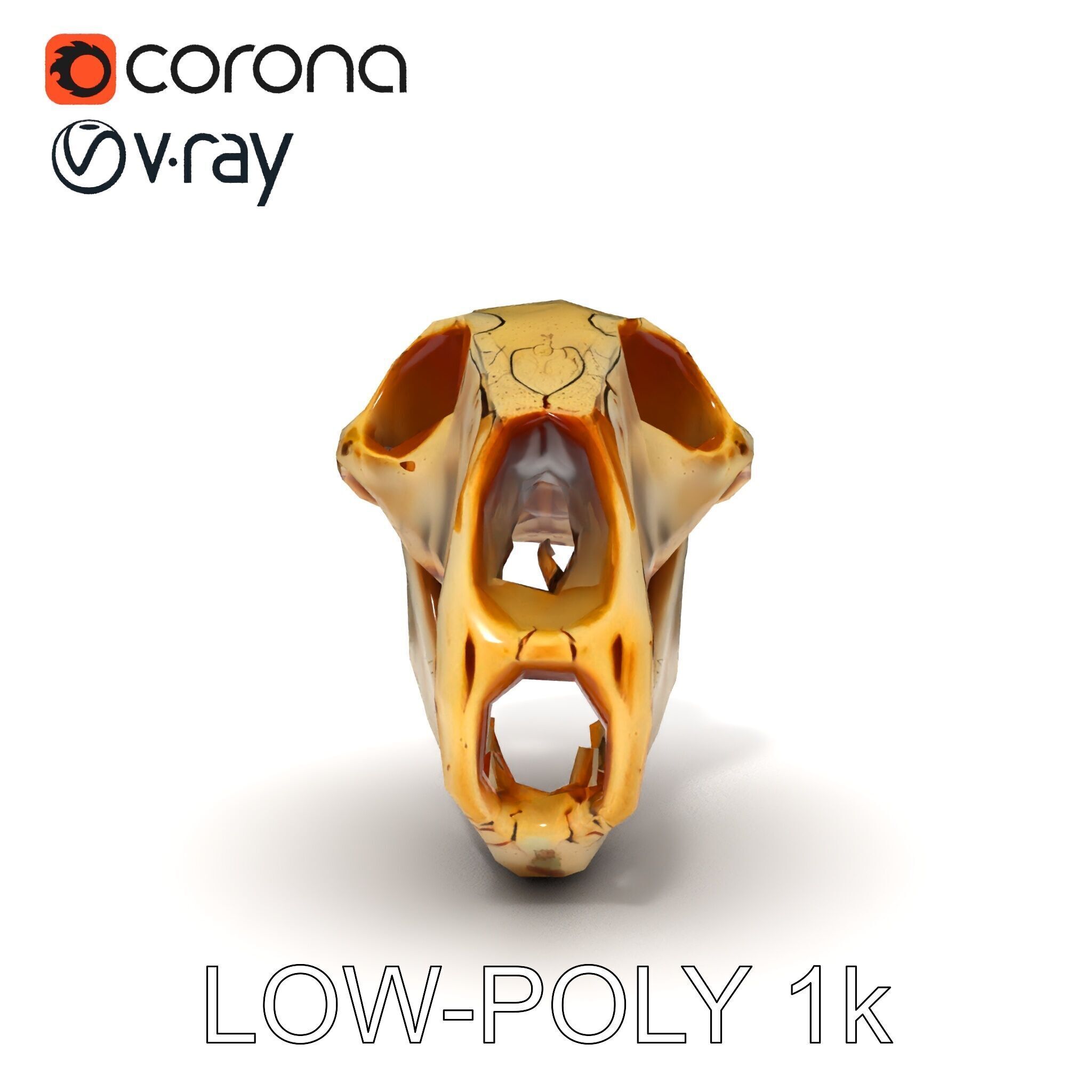 Realistic Animal Skull D Model Pack Low-poly 3D model_10
