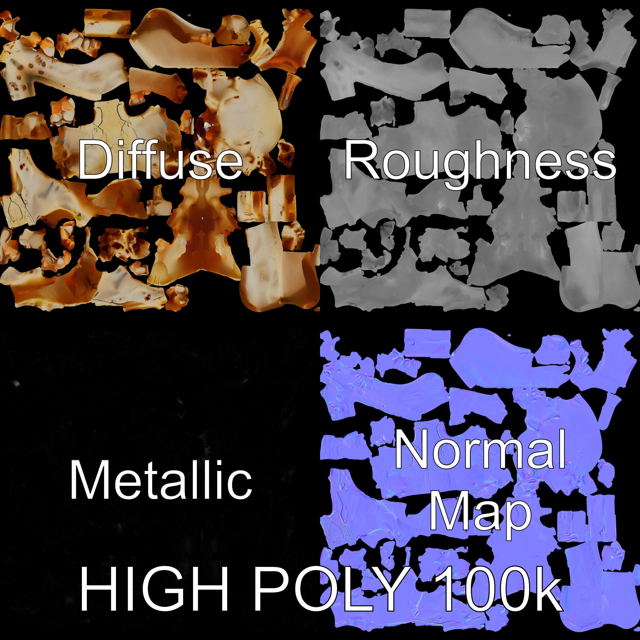 Realistic Animal Skull D Model Pack Low-poly 3D model_2