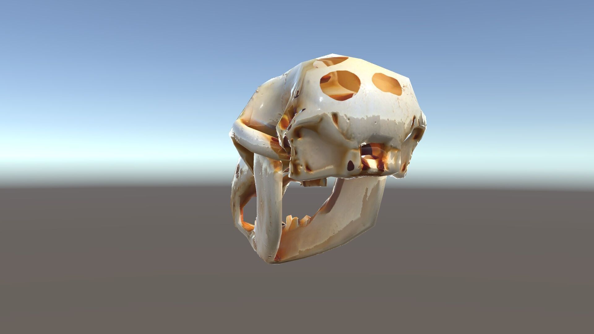 Realistic Animal Skull D Model Pack Low-poly 3D model_33