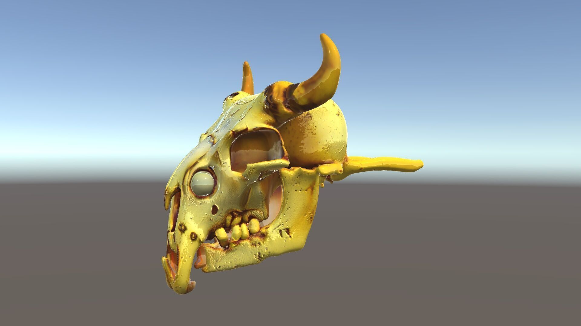 Animal Skull Model Pack with Detailed Anatomy Low-poly 3D model_5