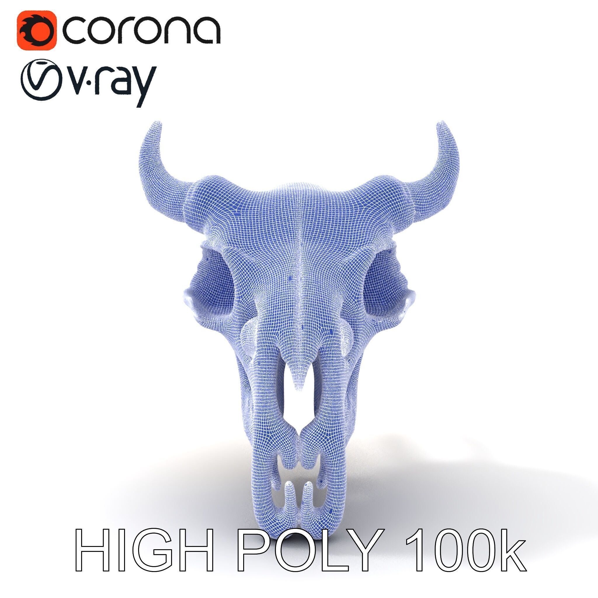 Animal Skull Model Pack with Detailed Anatomy Low-poly 3D model_10