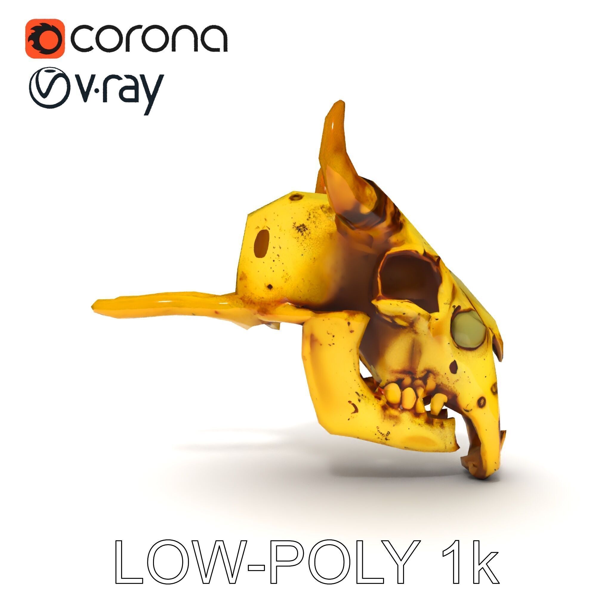 Animal Skull Model Pack with Detailed Anatomy Low-poly 3D model_32