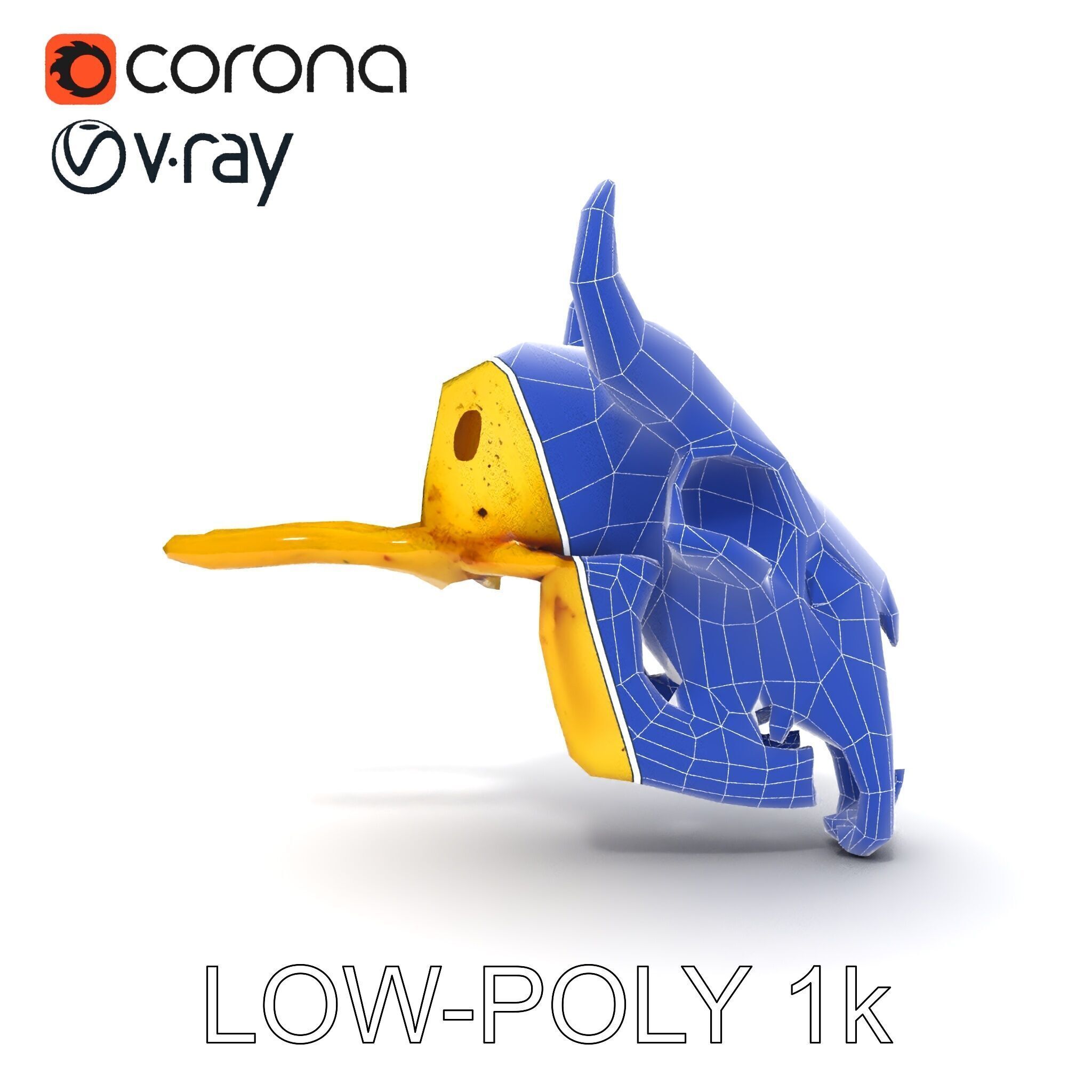 Animal Skull Model Pack with Detailed Anatomy Low-poly 3D model_34