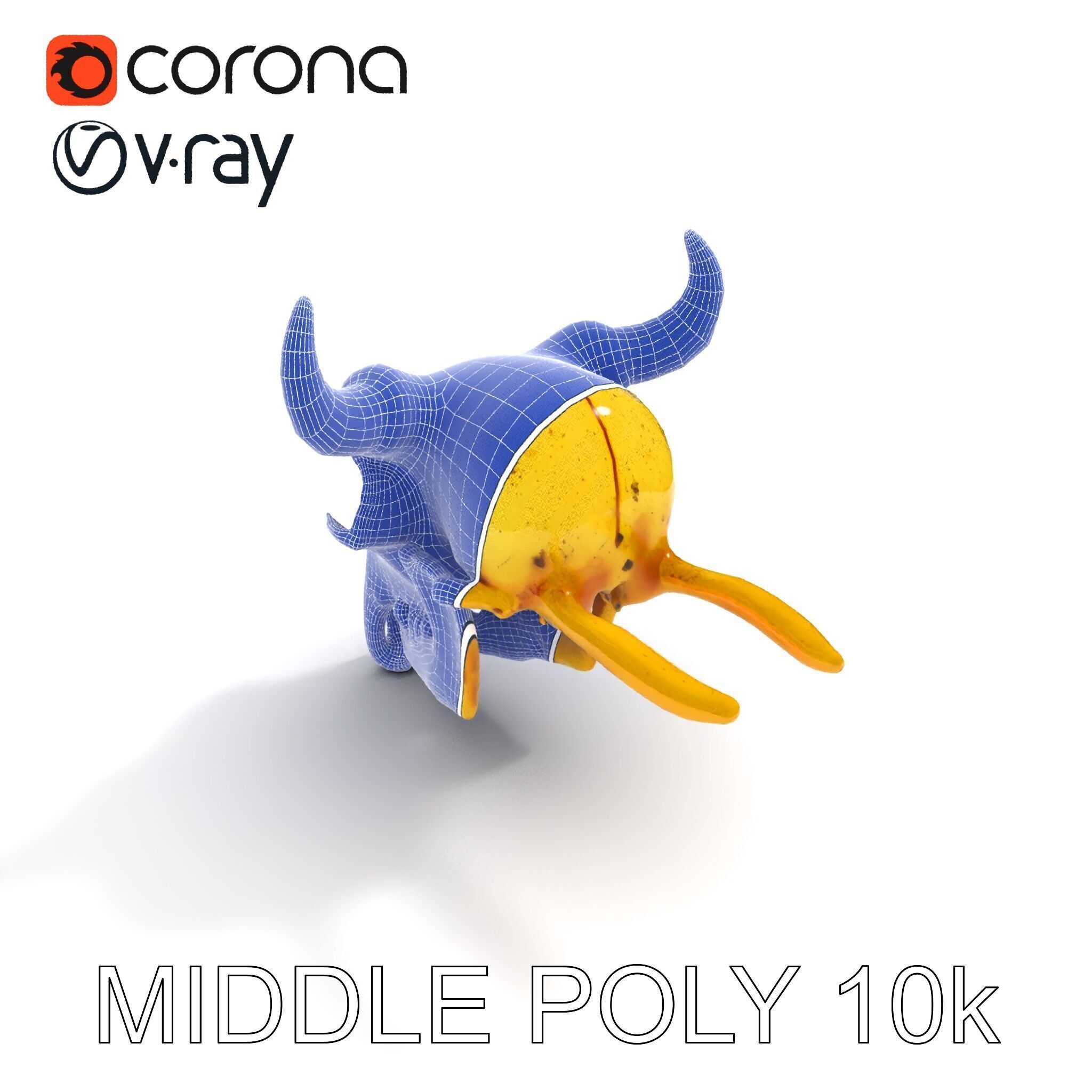 Animal Skull Model Pack with Detailed Anatomy Low-poly 3D model_11