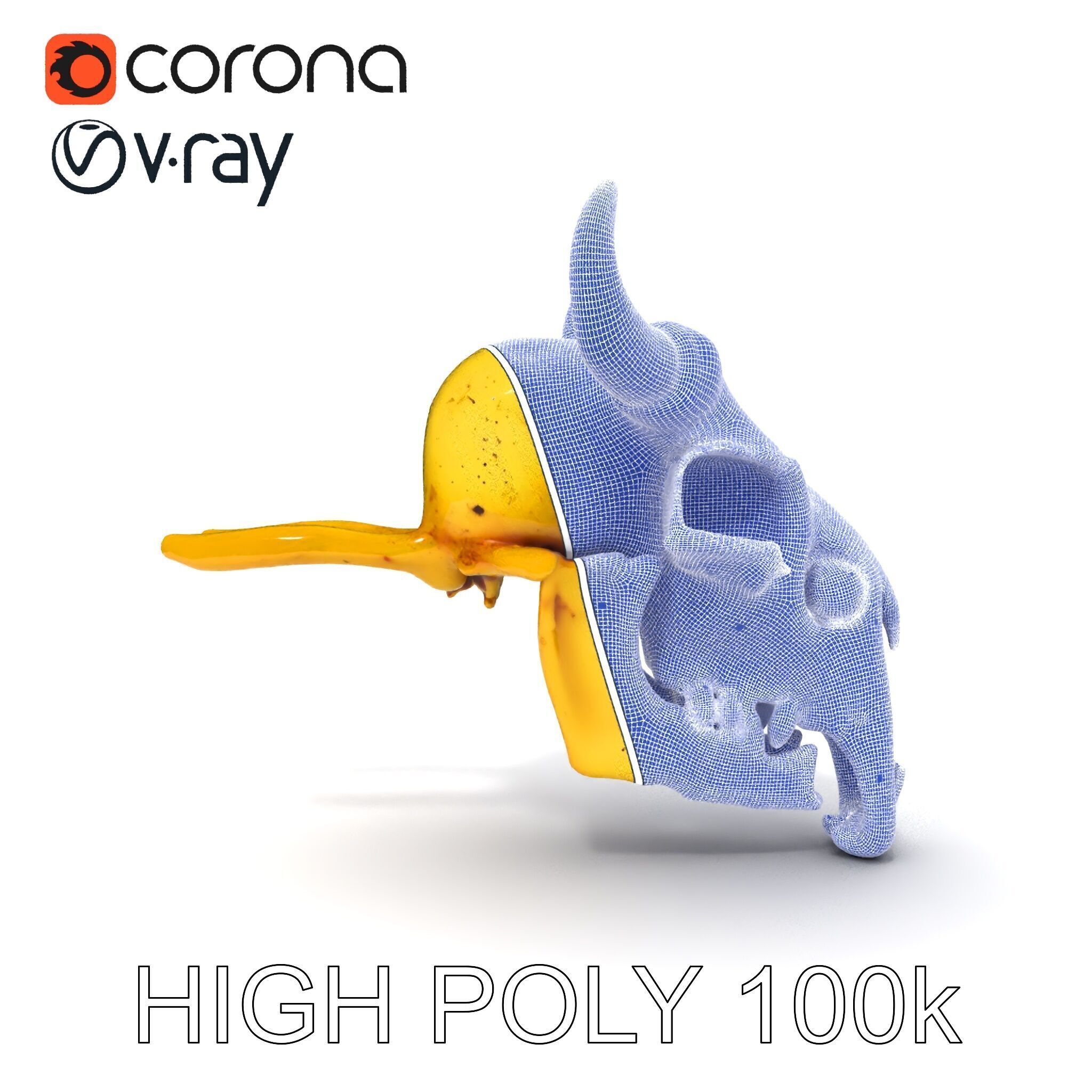 Animal Skull Model Pack with Detailed Anatomy Low-poly 3D model_19