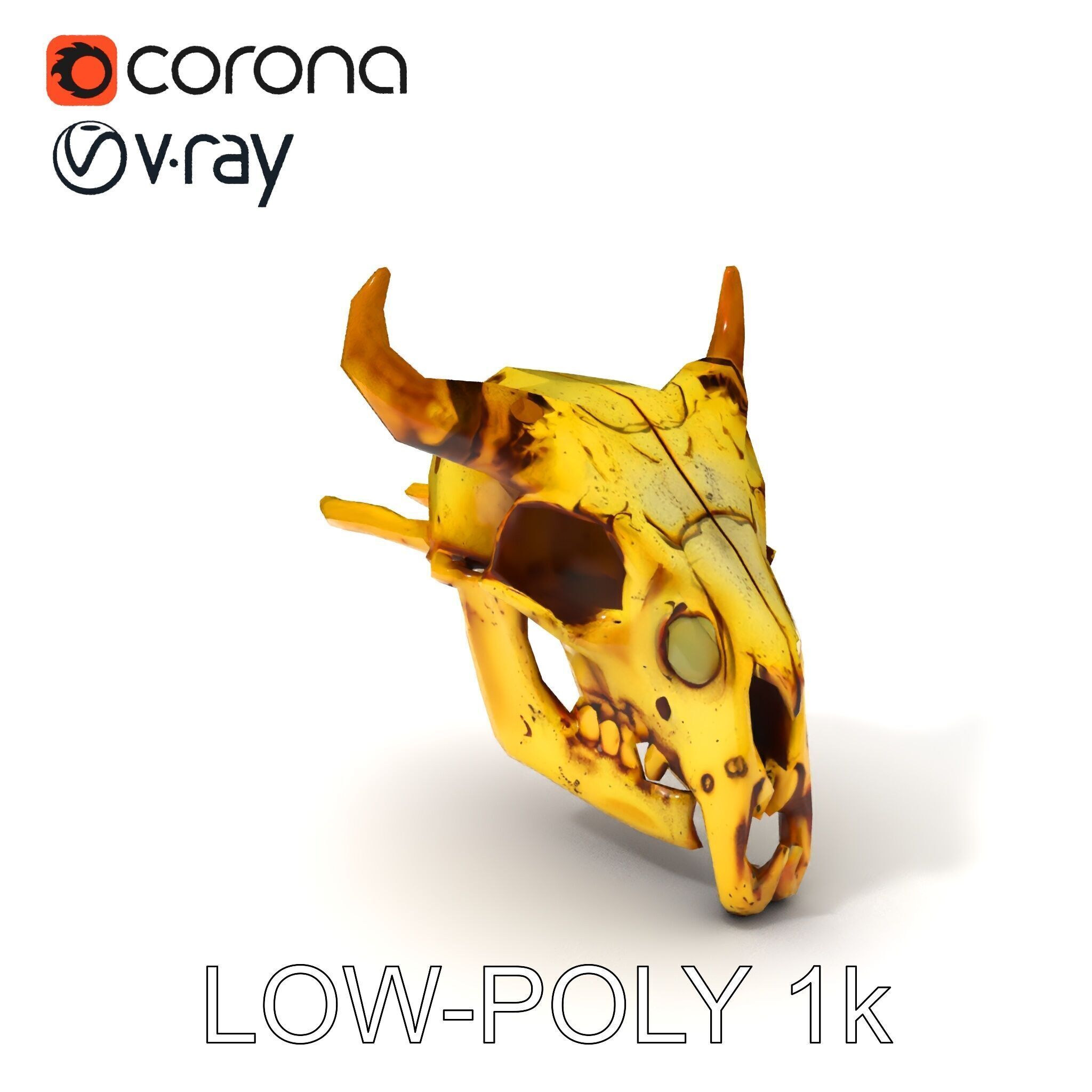 Animal Skull Model Pack with Detailed Anatomy Low-poly 3D model_29