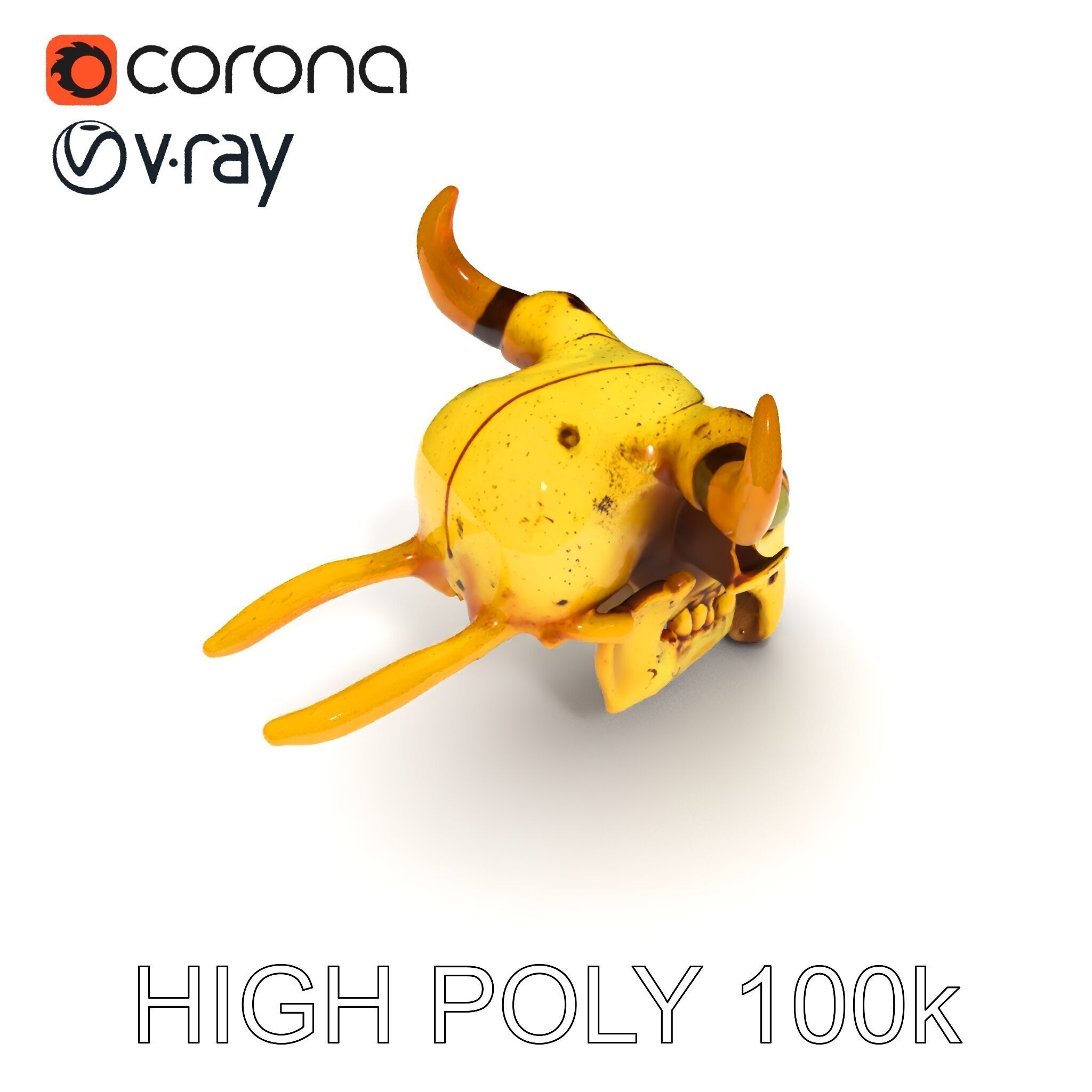 Animal Skull Model Pack with Detailed Anatomy Low-poly 3D model_25