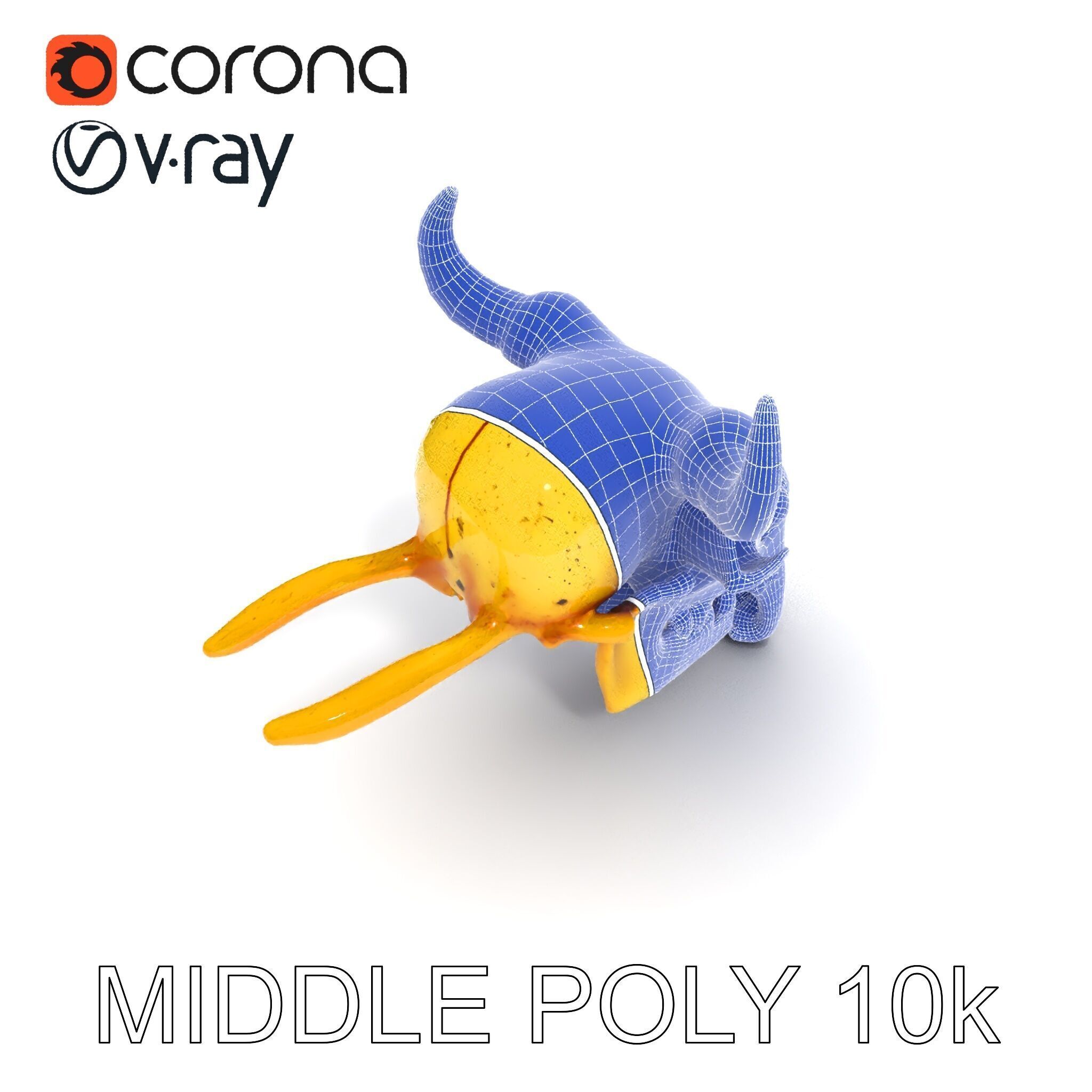 Animal Skull Model Pack with Detailed Anatomy Low-poly 3D model_6
