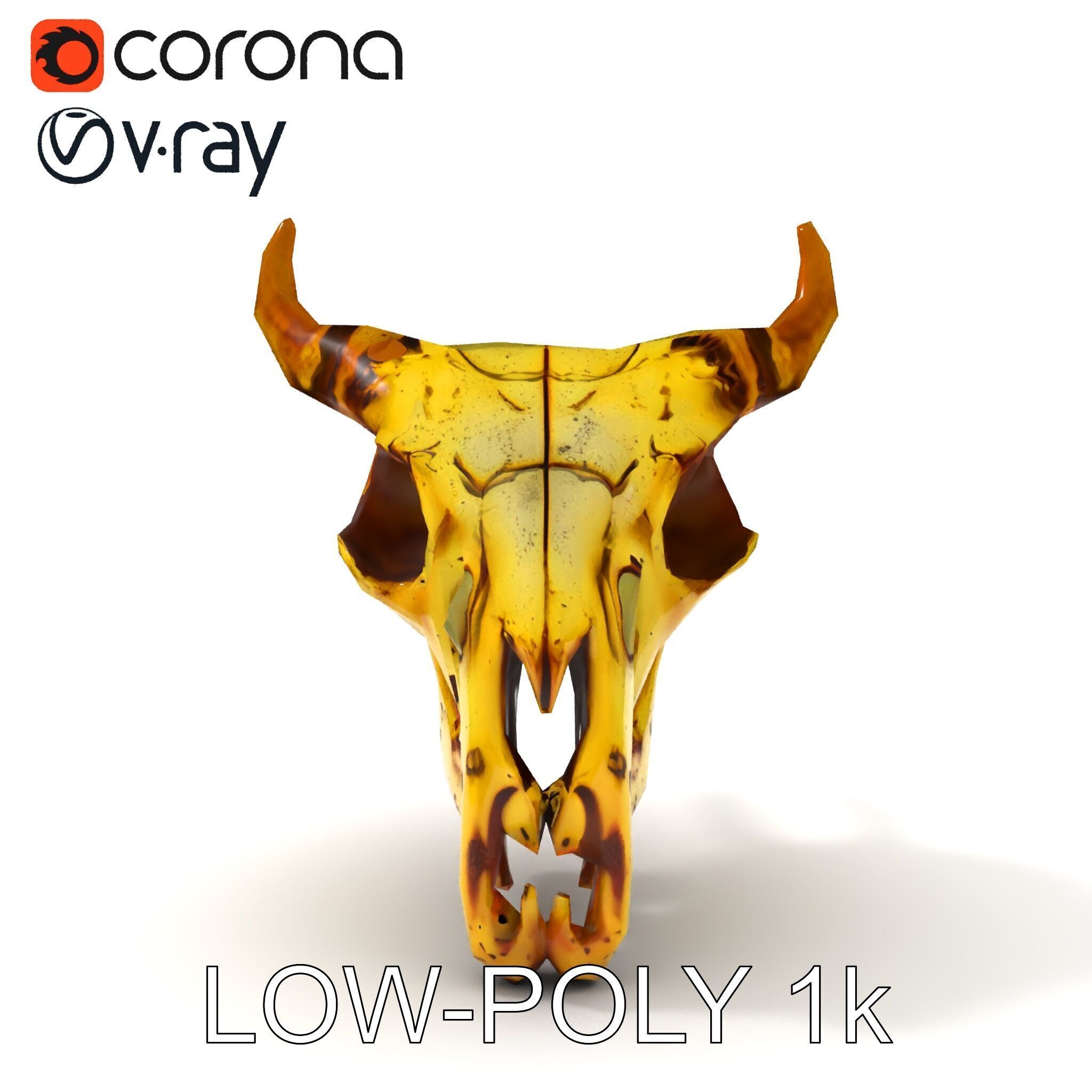 Animal Skull Model Pack with Detailed Anatomy Low-poly 3D model_27