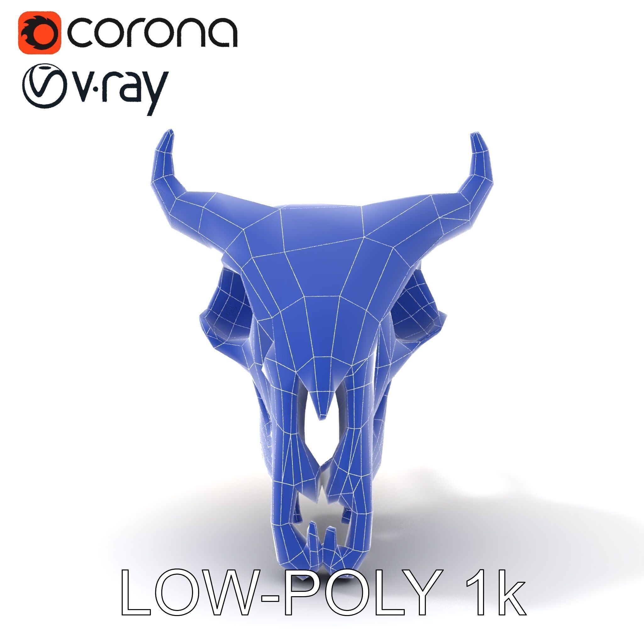 Animal Skull Model Pack with Detailed Anatomy Low-poly 3D model_12