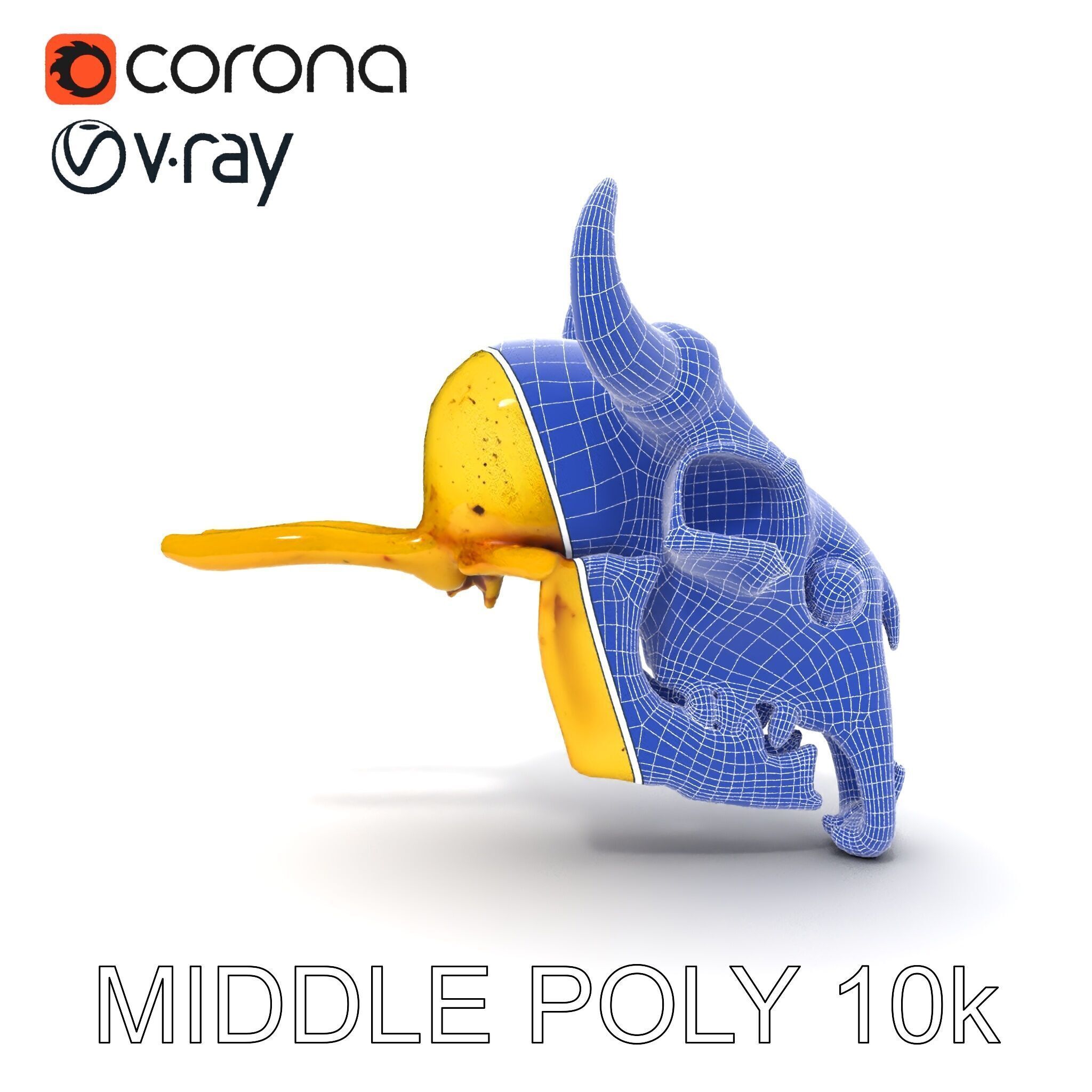 Animal Skull Model Pack with Detailed Anatomy Low-poly 3D model_23