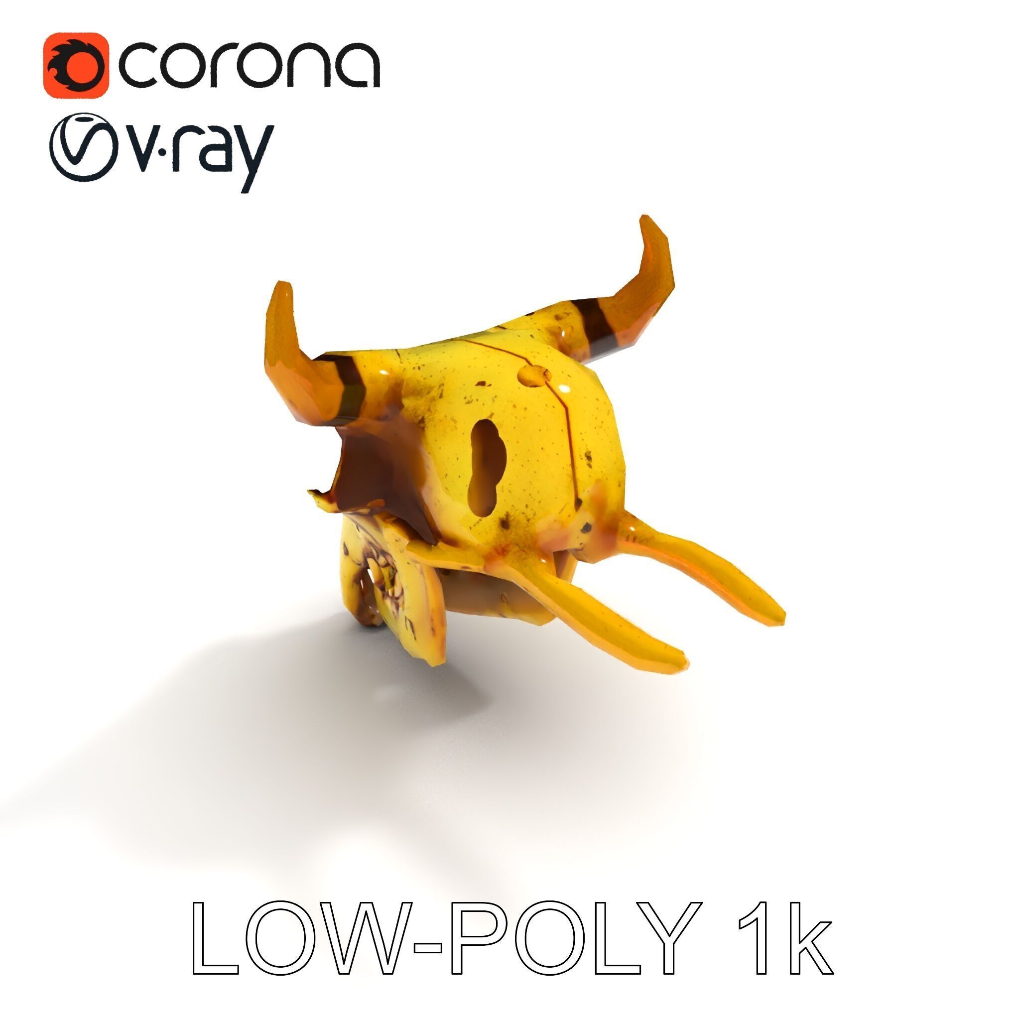 Animal Skull Model Pack with Detailed Anatomy Low-poly 3D model_7