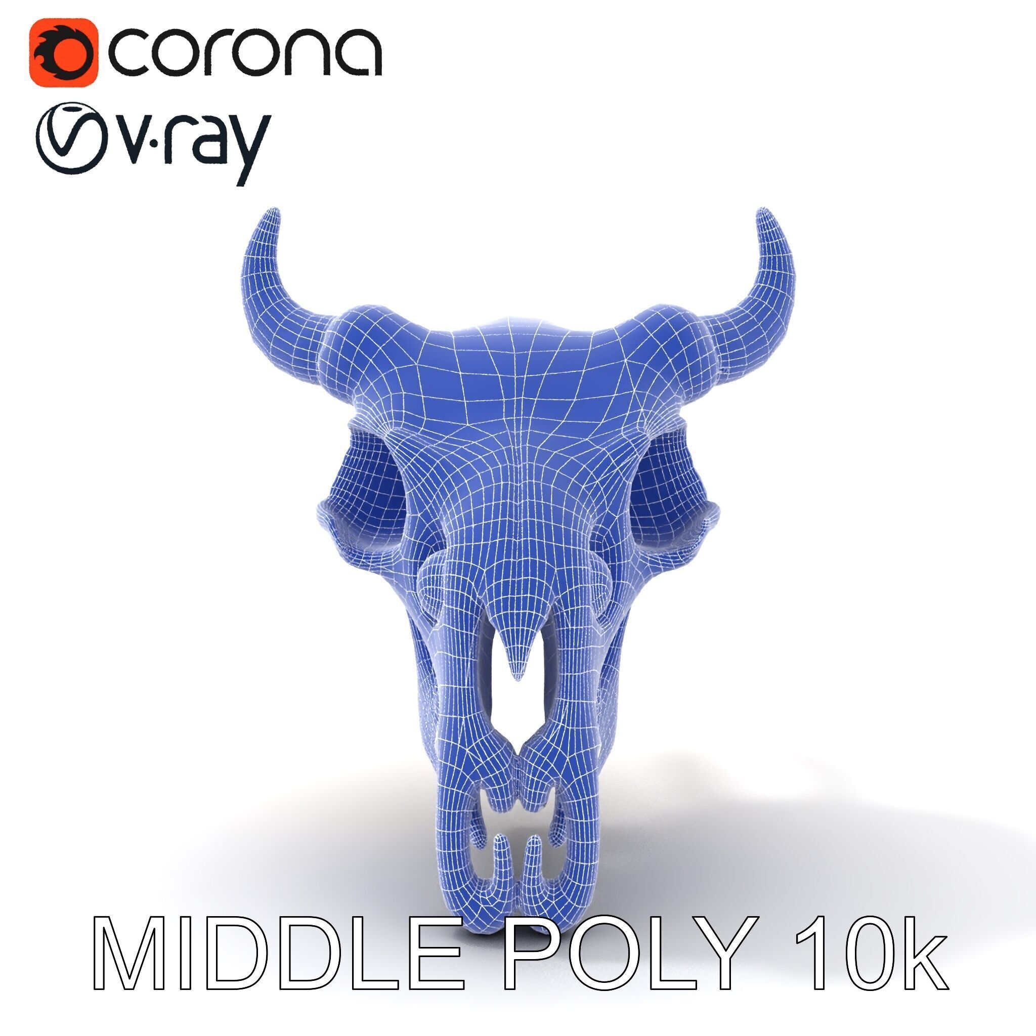 Animal Skull Model Pack with Detailed Anatomy Low-poly 3D model_31