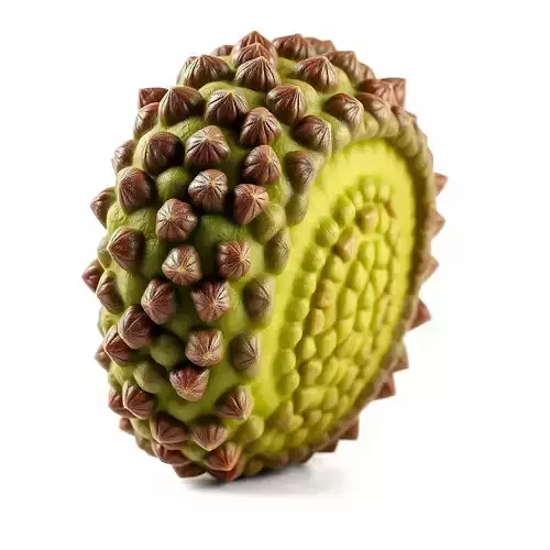 Exotic Fruit Jackfruit Model Pack for Environment and Animation