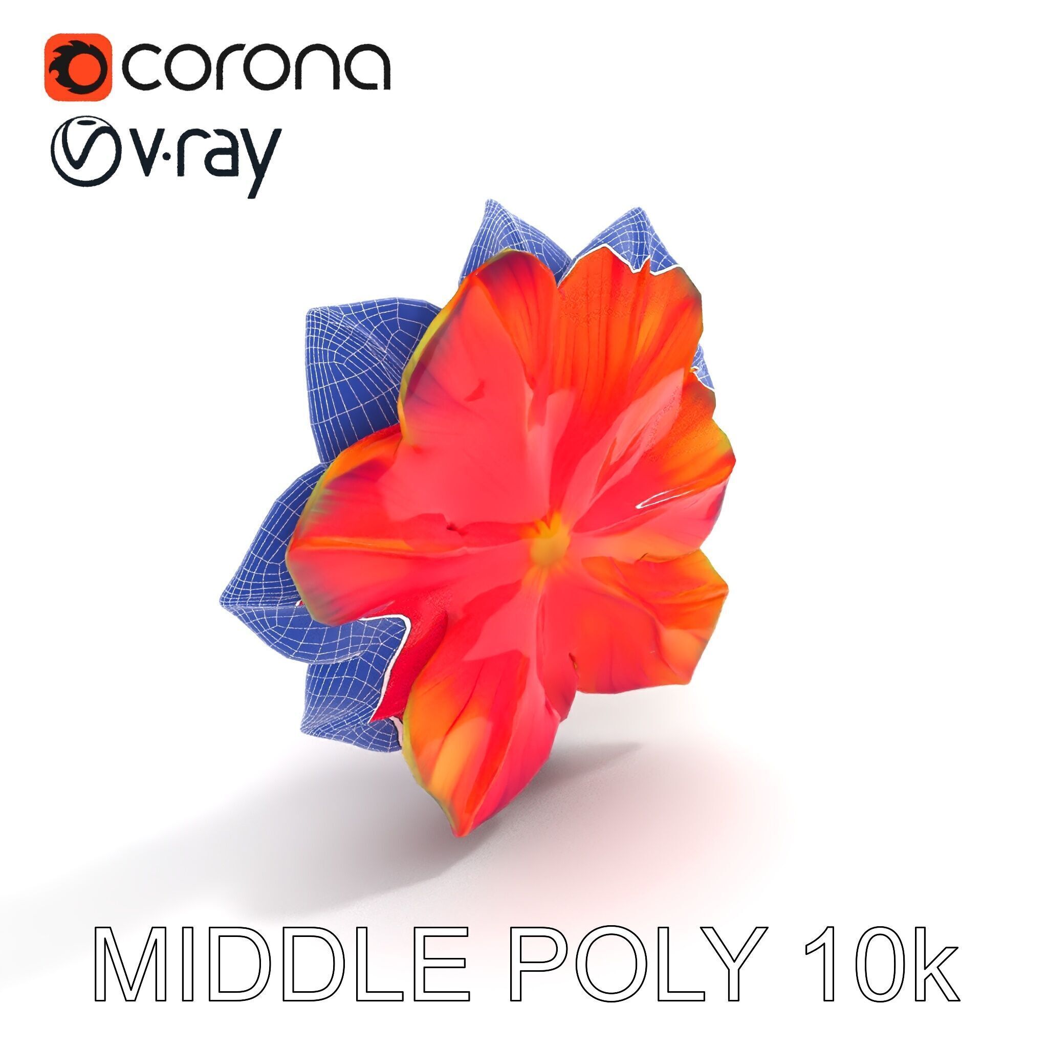 Vibrant Flower Model Pack for D Rendering and Game Design Low-poly 3D model_17