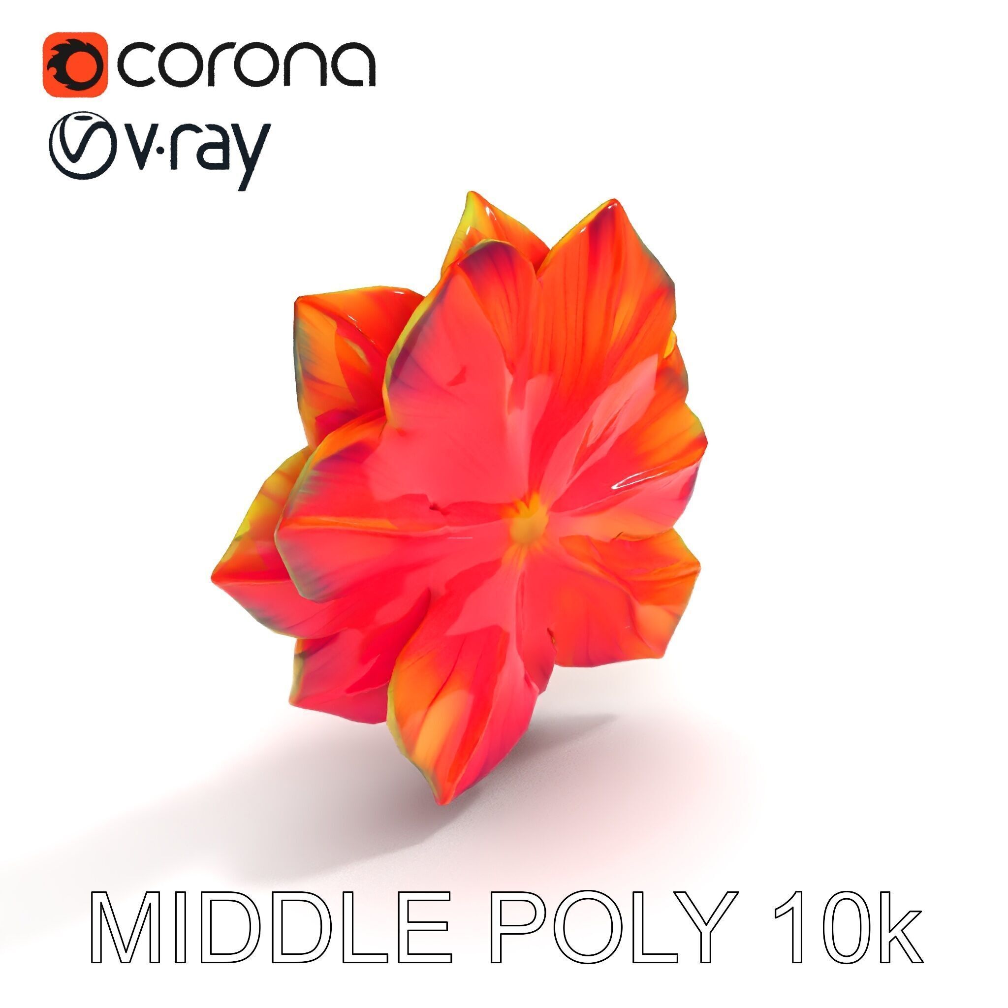 Vibrant Flower Model Pack for D Rendering and Game Design Low-poly 3D model_9