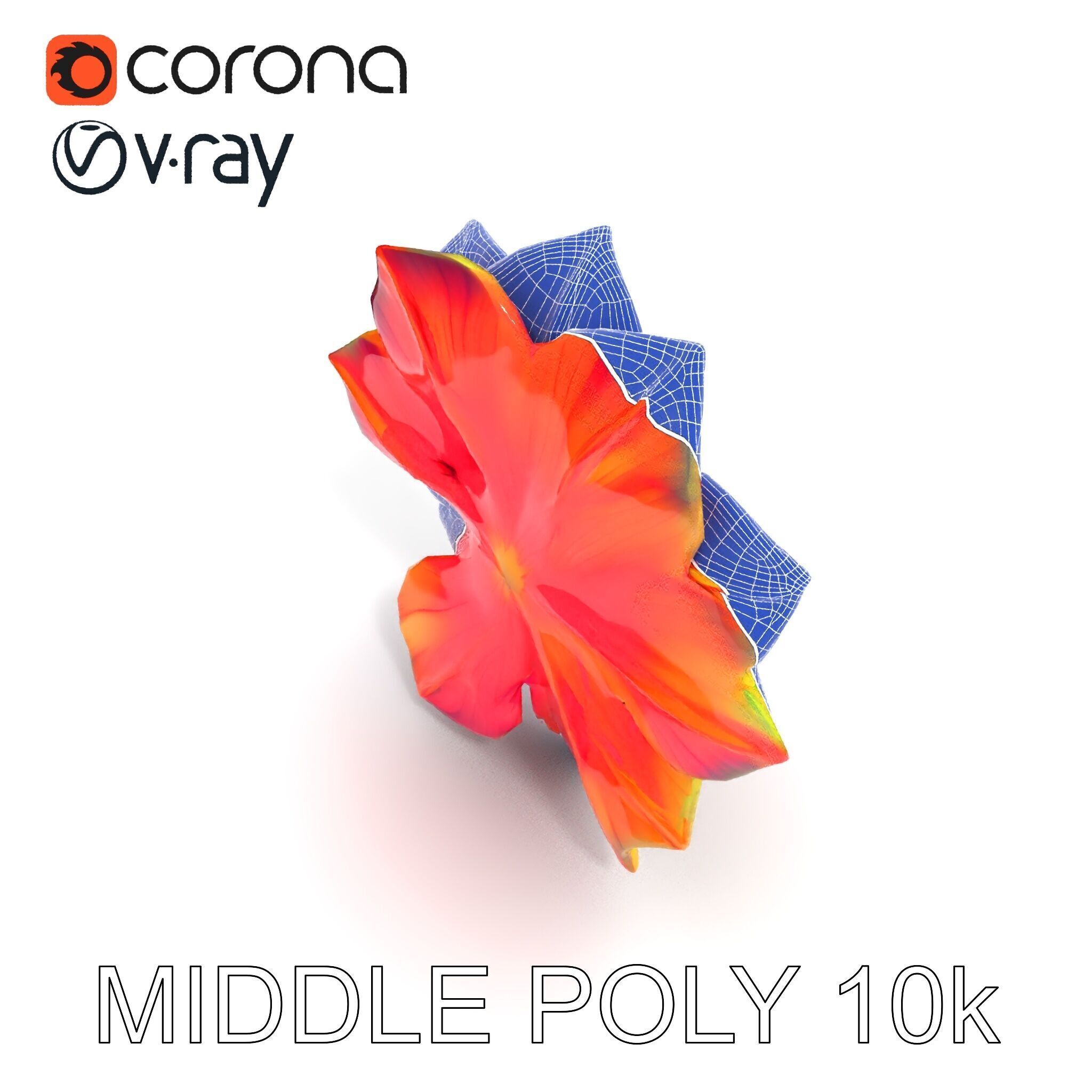 Vibrant Flower Model Pack for D Rendering and Game Design Low-poly 3D model_12
