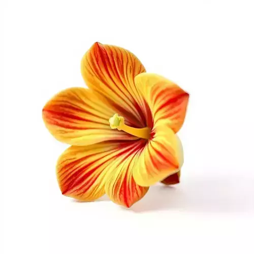 Vibrant Tropical Flower Model Pack Low-poly 3D model