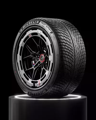 MICHELIN Pilot Alpin 5 315 30 R21 105V