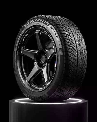 MICHELIN Pilot Alpin 5 275 45 R21 113V