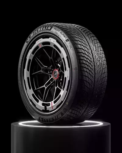 MICHELIN Pilot Alpin 5 275 35 R21 103V