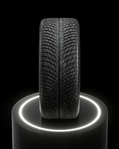MICHELIN Pilot Alpin 5 275 35 R21 103V 3D model 7