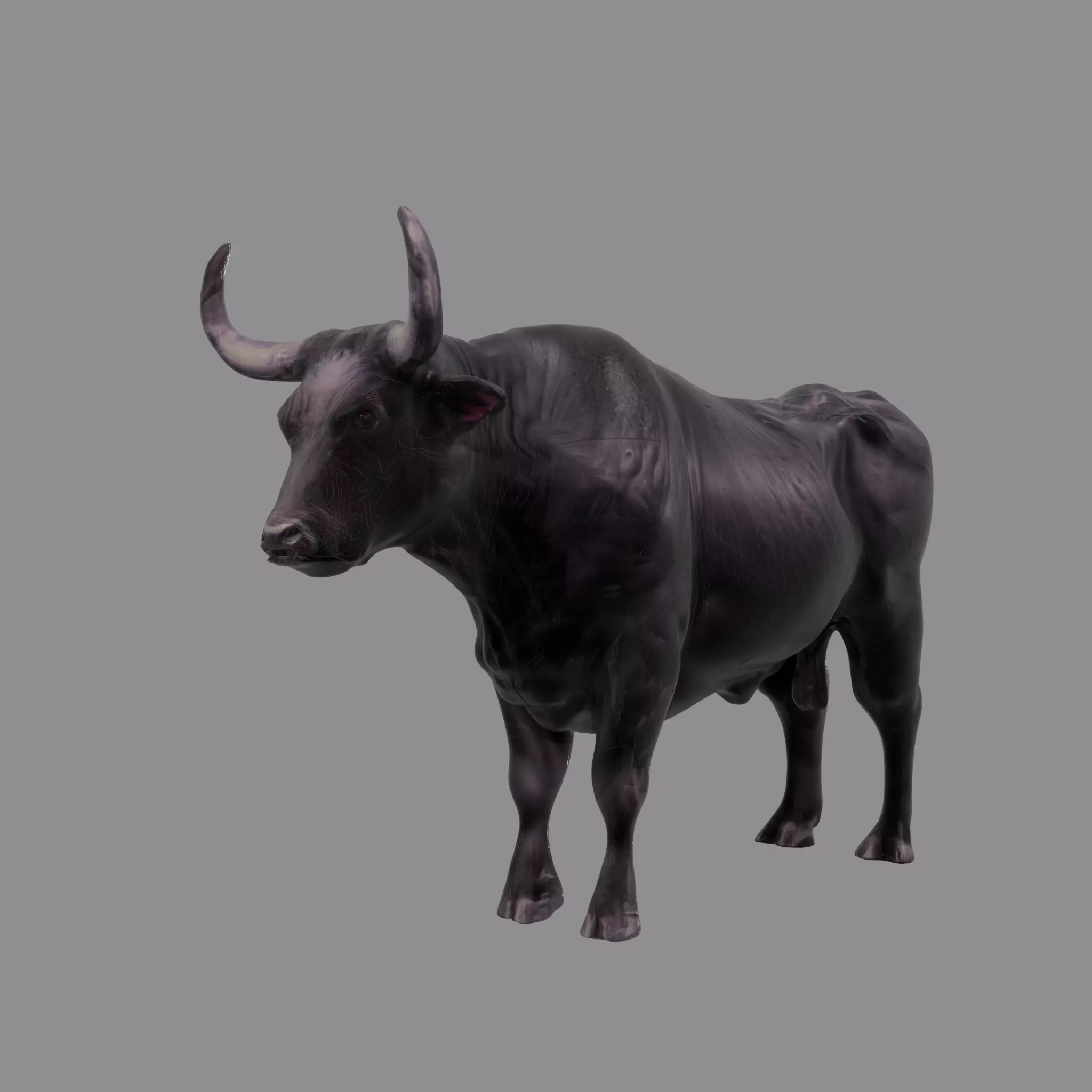 Black Taurus Bull Rigged 3D model
