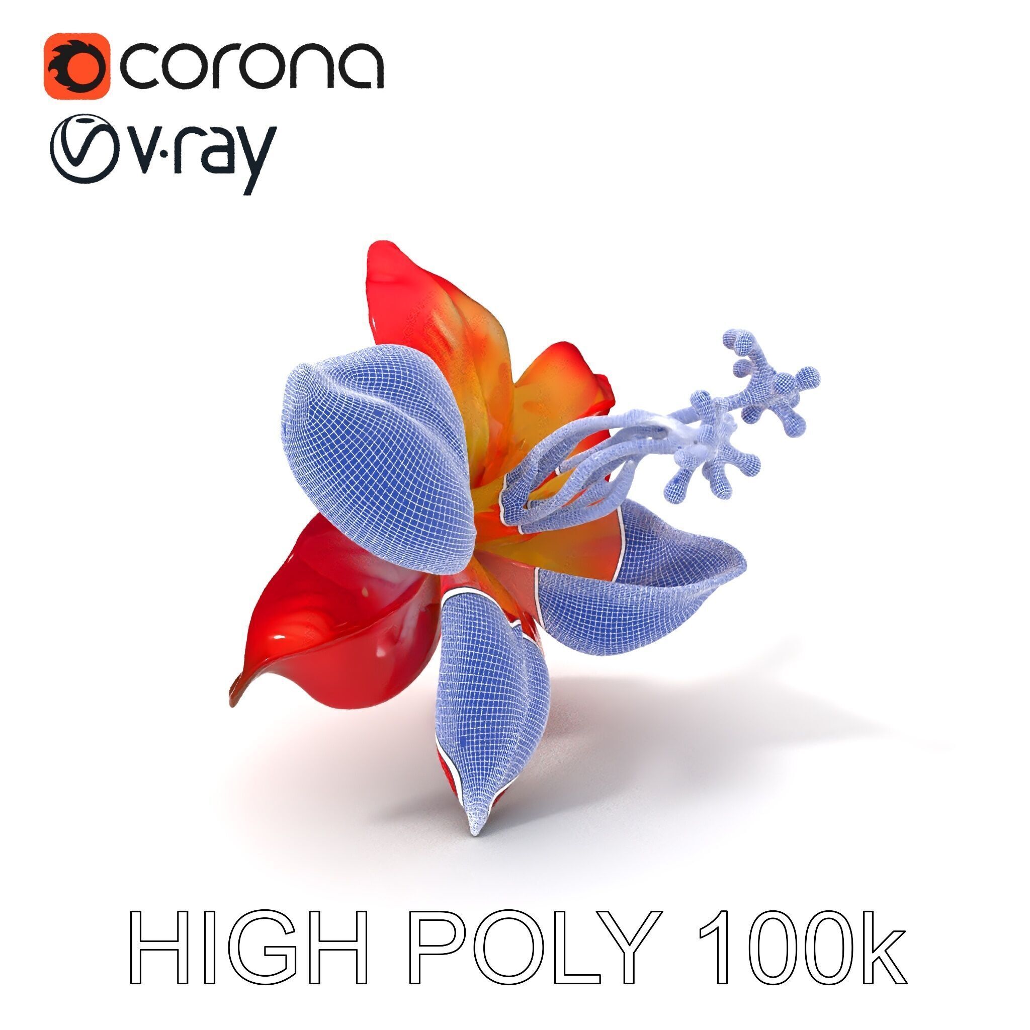 Realistic Hibiscus Flower Model Pack for Versatile Projects Low-poly 3D model_4