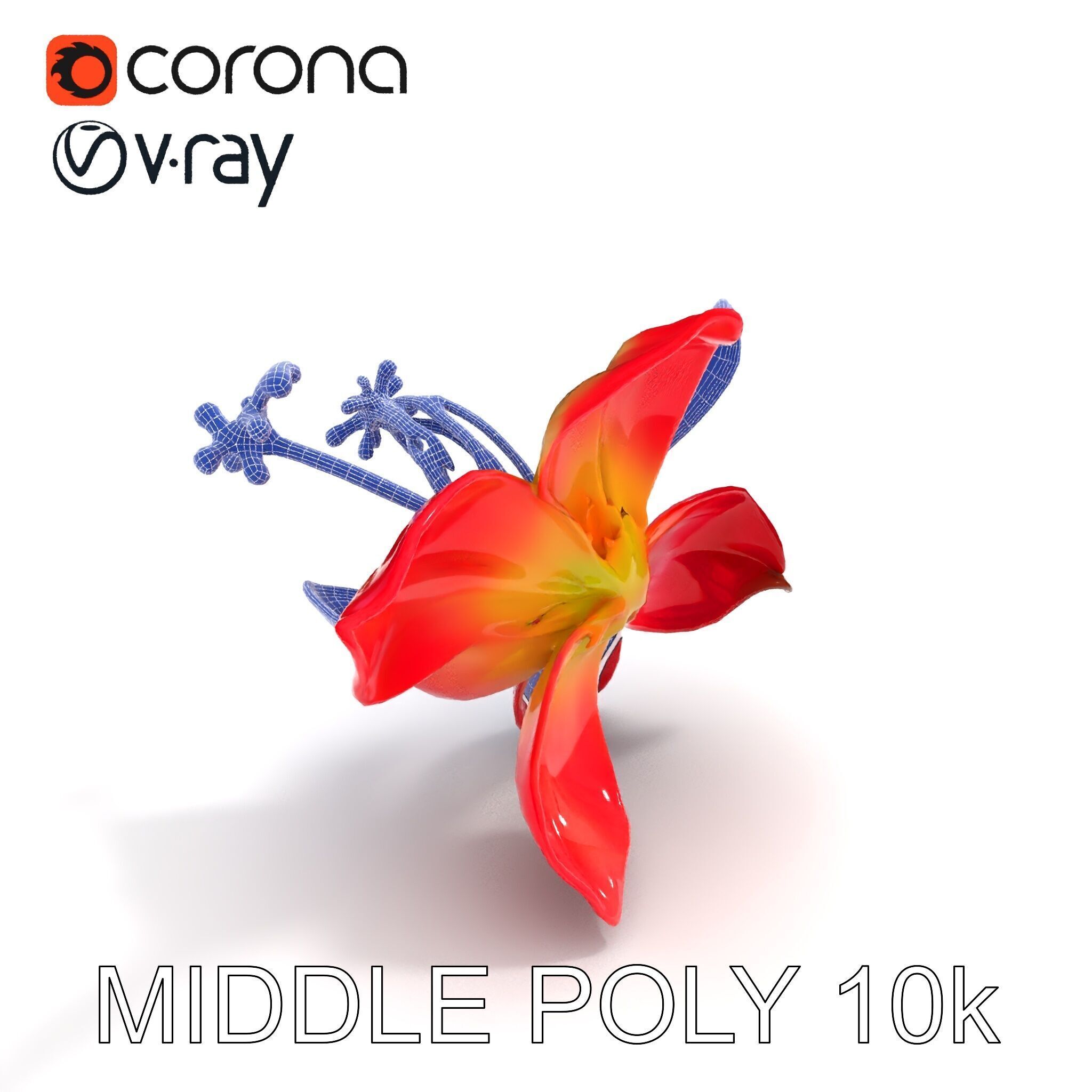 Realistic Hibiscus Flower Model Pack for Versatile Projects Low-poly 3D model_17