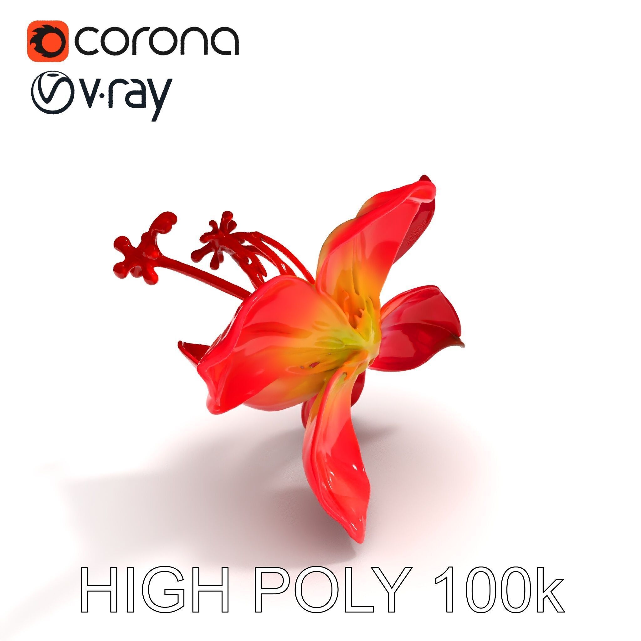 Realistic Hibiscus Flower Model Pack for Versatile Projects Low-poly 3D model_8