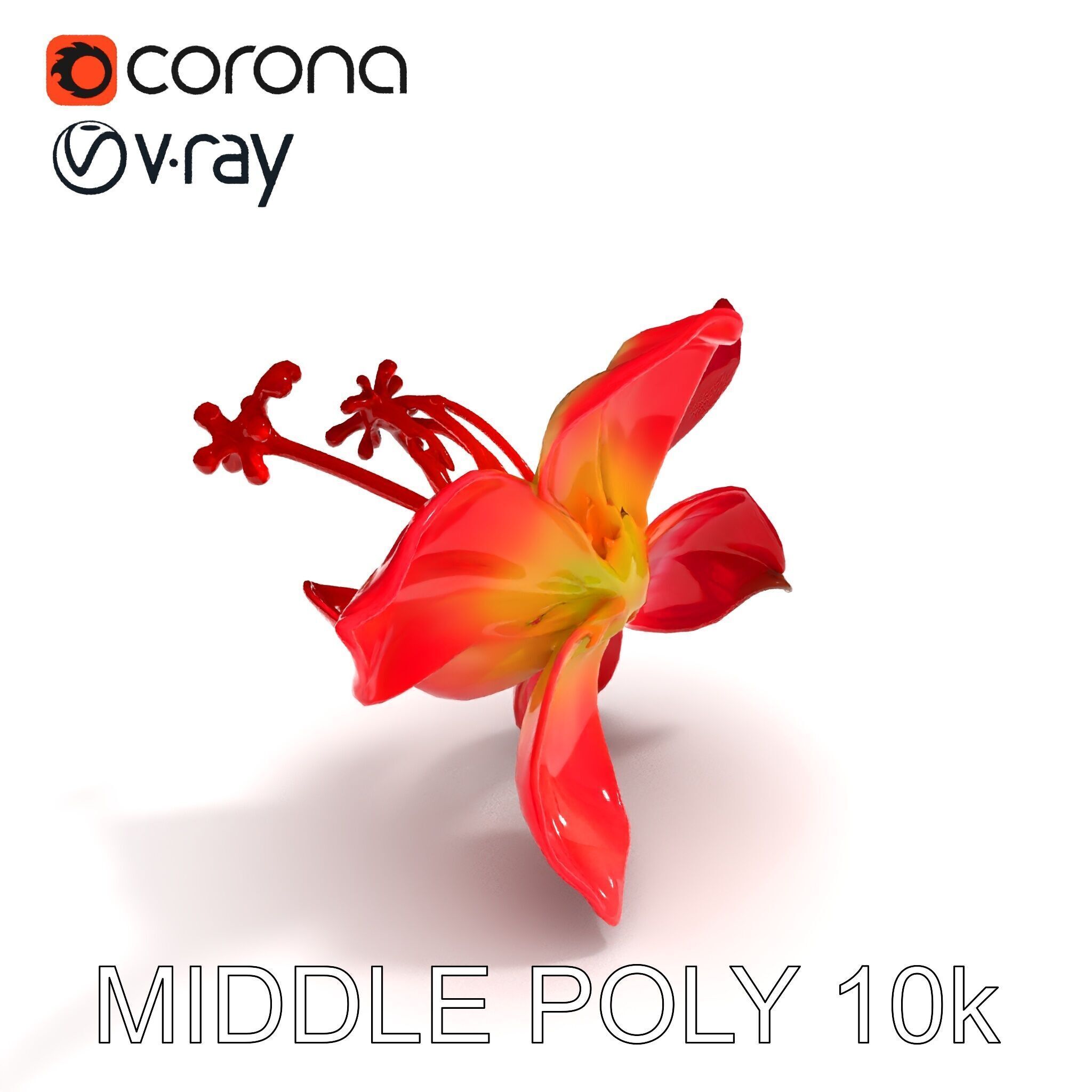 Realistic Hibiscus Flower Model Pack for Versatile Projects Low-poly 3D model_6