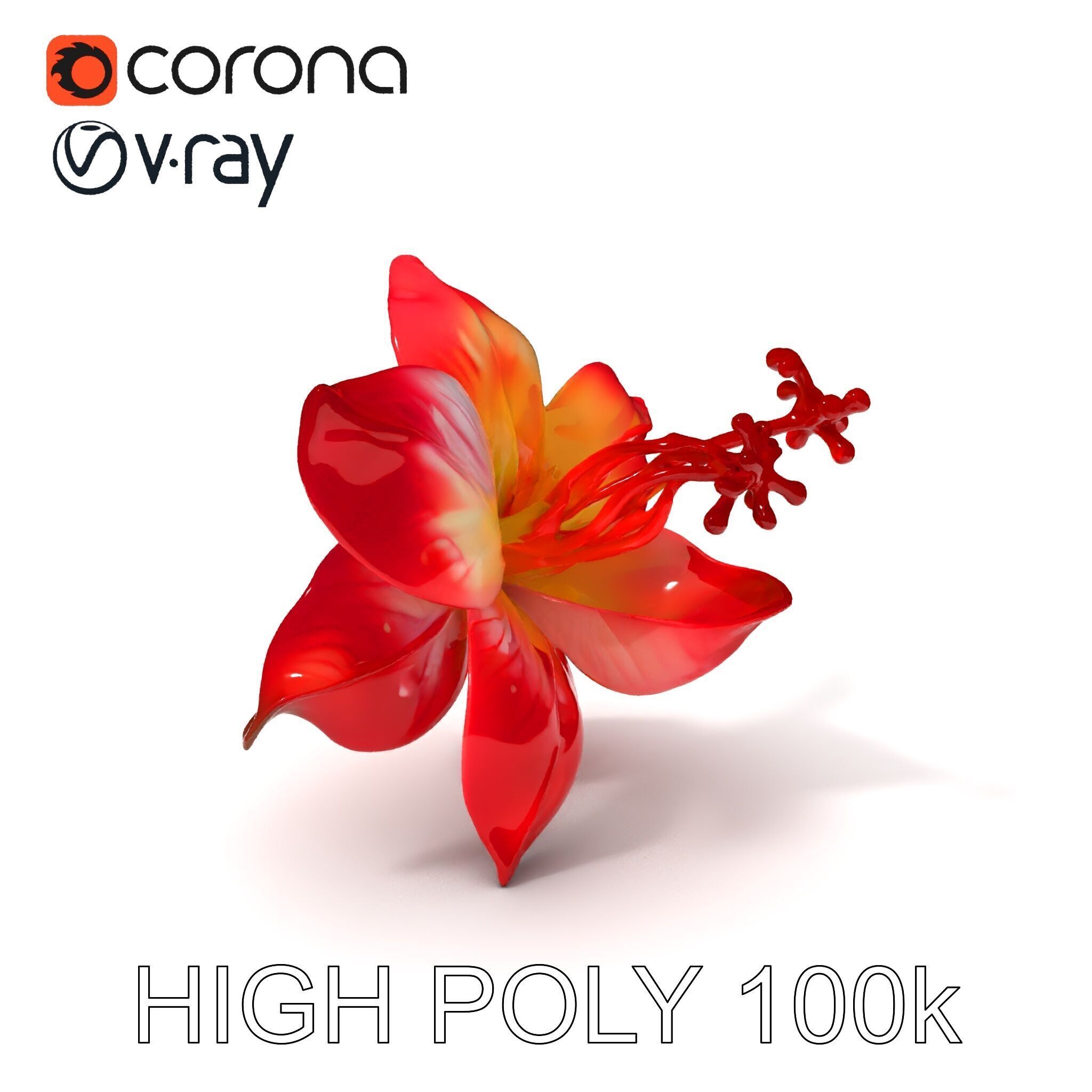Realistic Hibiscus Flower Model Pack for Versatile Projects Low-poly 3D model_3