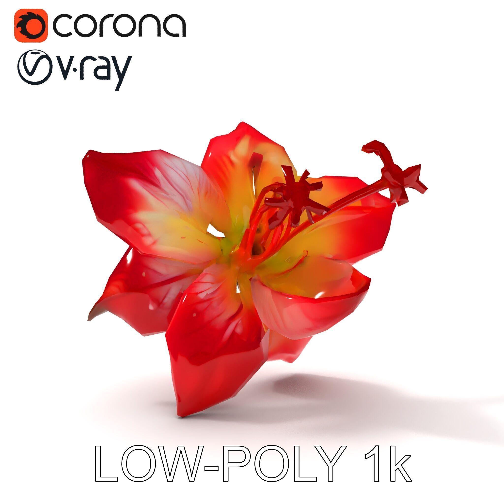 Realistic Hibiscus Flower Model Pack for Versatile Projects Low-poly 3D model_33