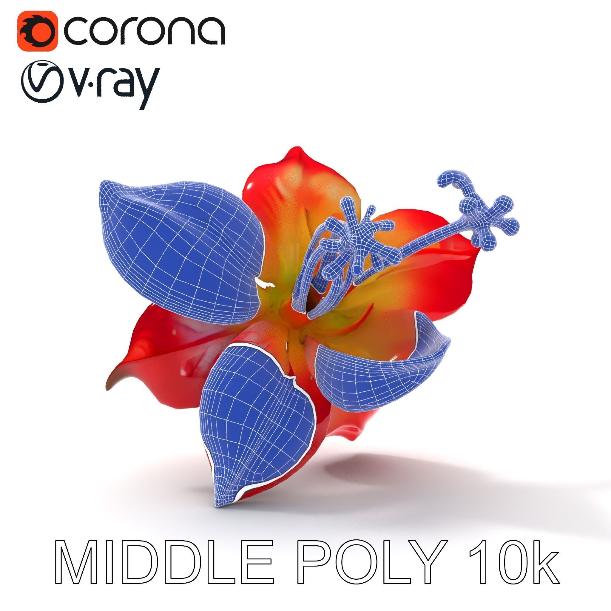 Realistic Hibiscus Flower Model Pack for Versatile Projects Low-poly 3D model_29