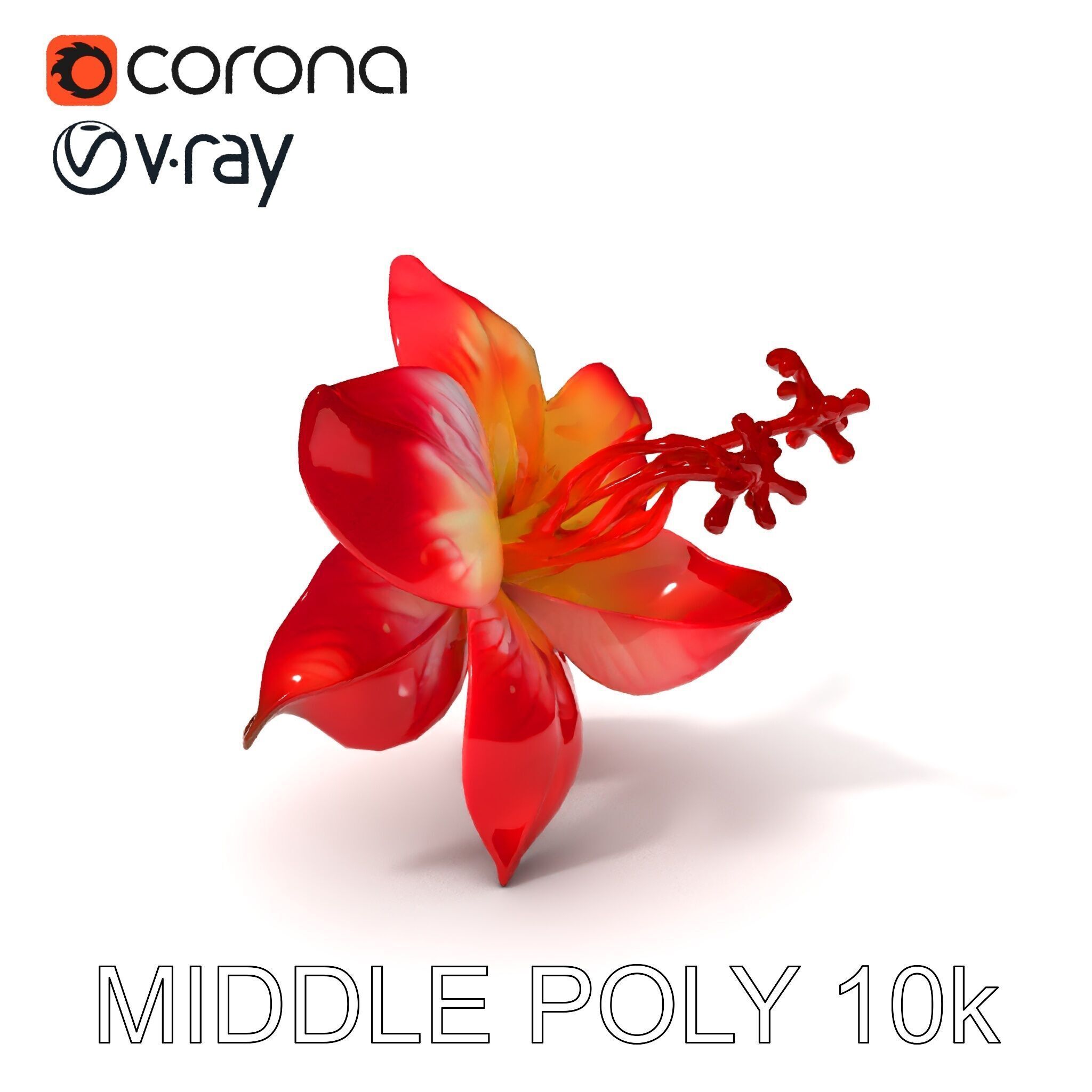 Realistic Hibiscus Flower Model Pack for Versatile Projects Low-poly 3D model_32