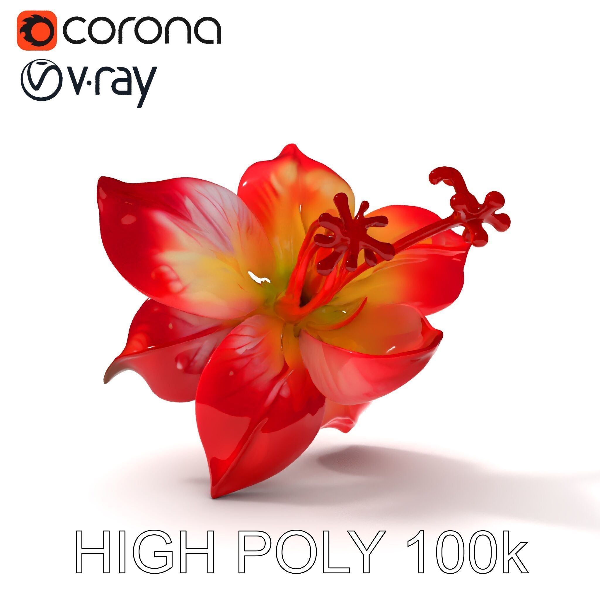Realistic Hibiscus Flower Model Pack for Versatile Projects Low-poly 3D model_35